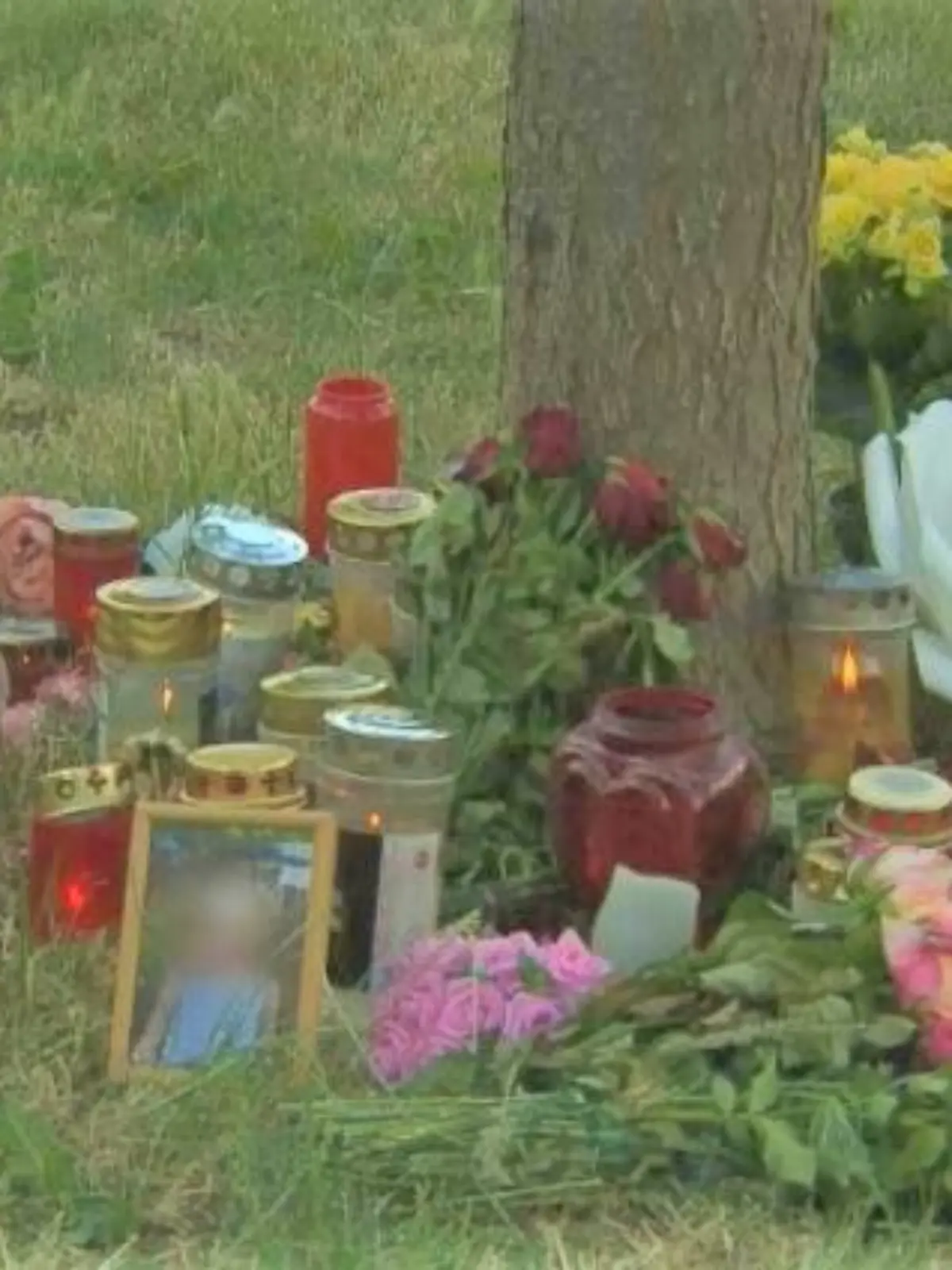 Die 13-Jährige lehnte tot an diesen Baum.
