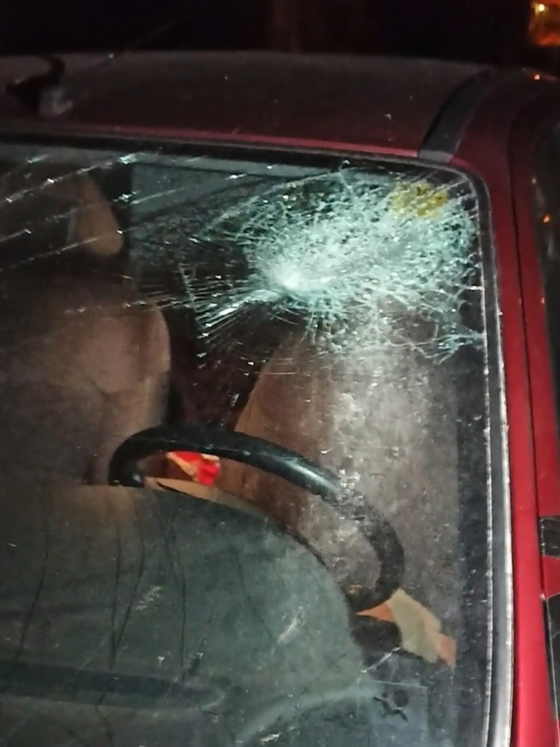 Bild zu: "Endet der Terror in Gräfenhainichen? Urteil gegen Steve G"
