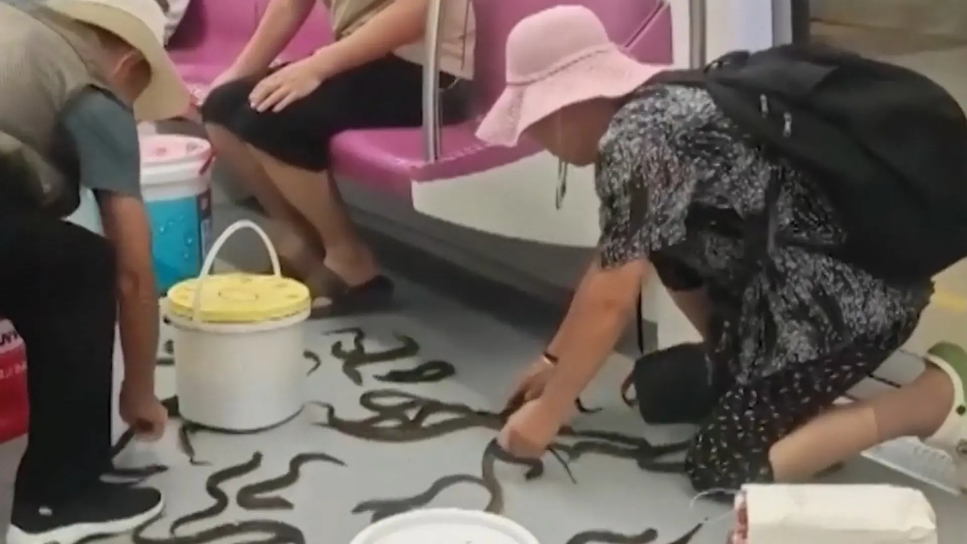 Aal-Alarm in der U-Bahn! Riesige Fisch-Ladung flutet Passagierabteil Chaos in China