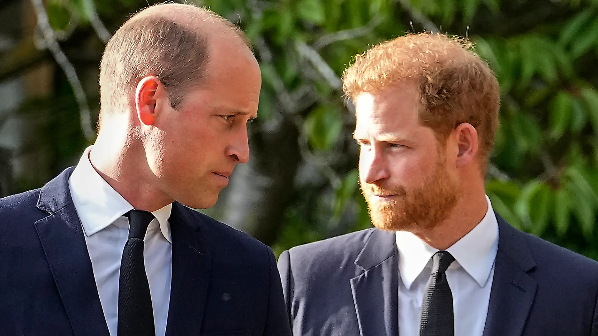 Prinz William und Prinz Harry