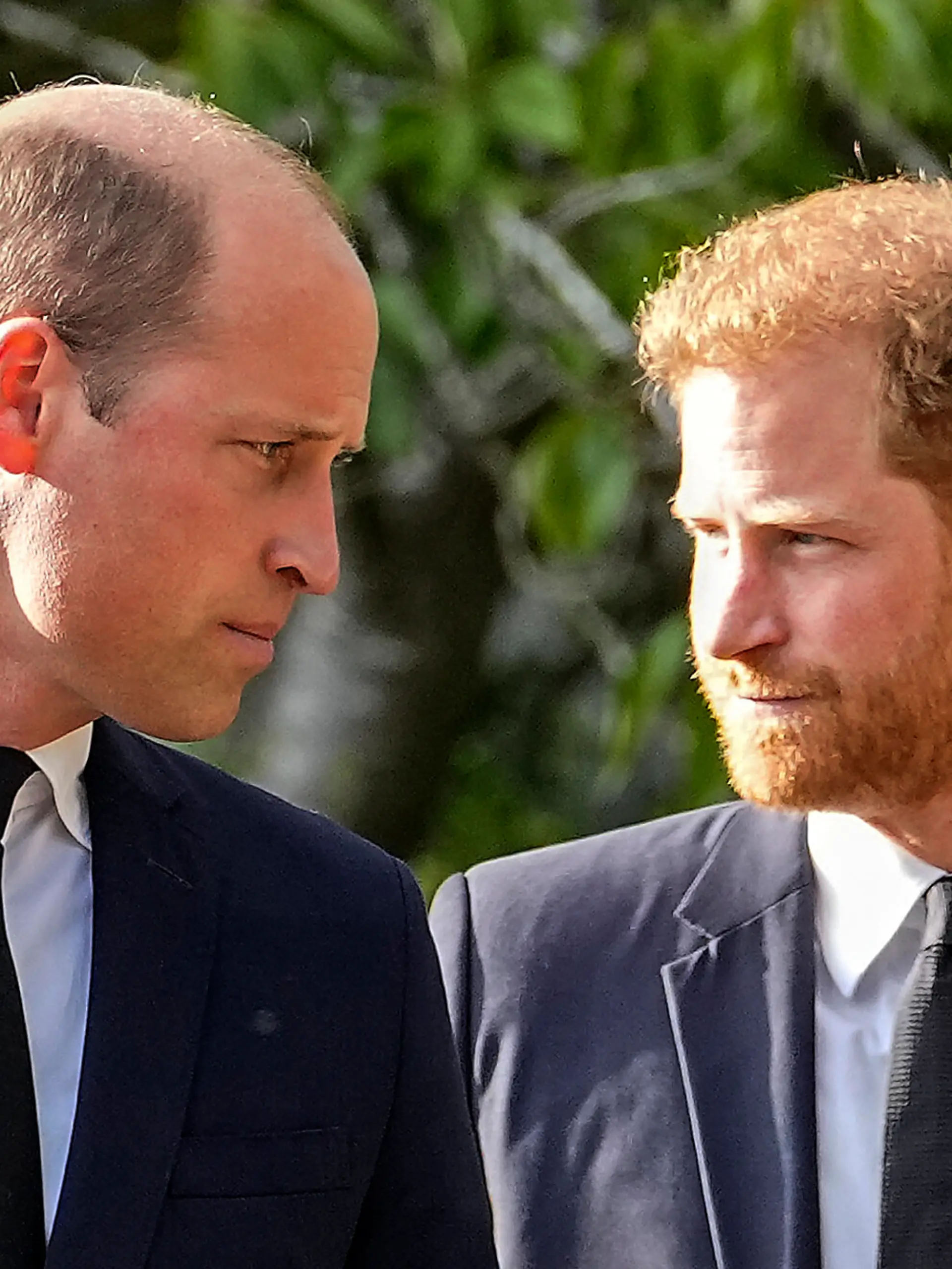 Prinz William und Prinz Harry
