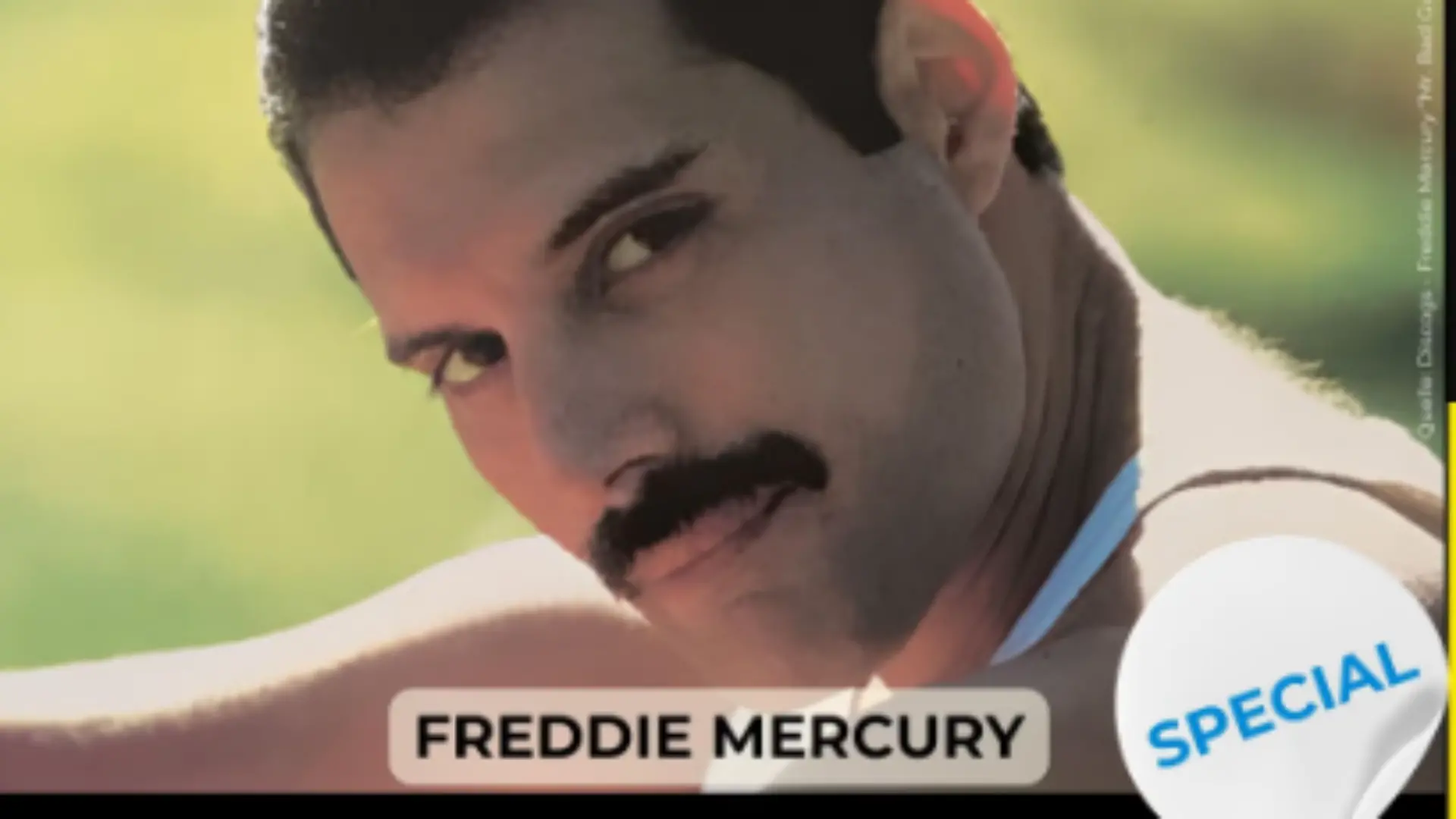 SPECIAL - Freddie Mercury