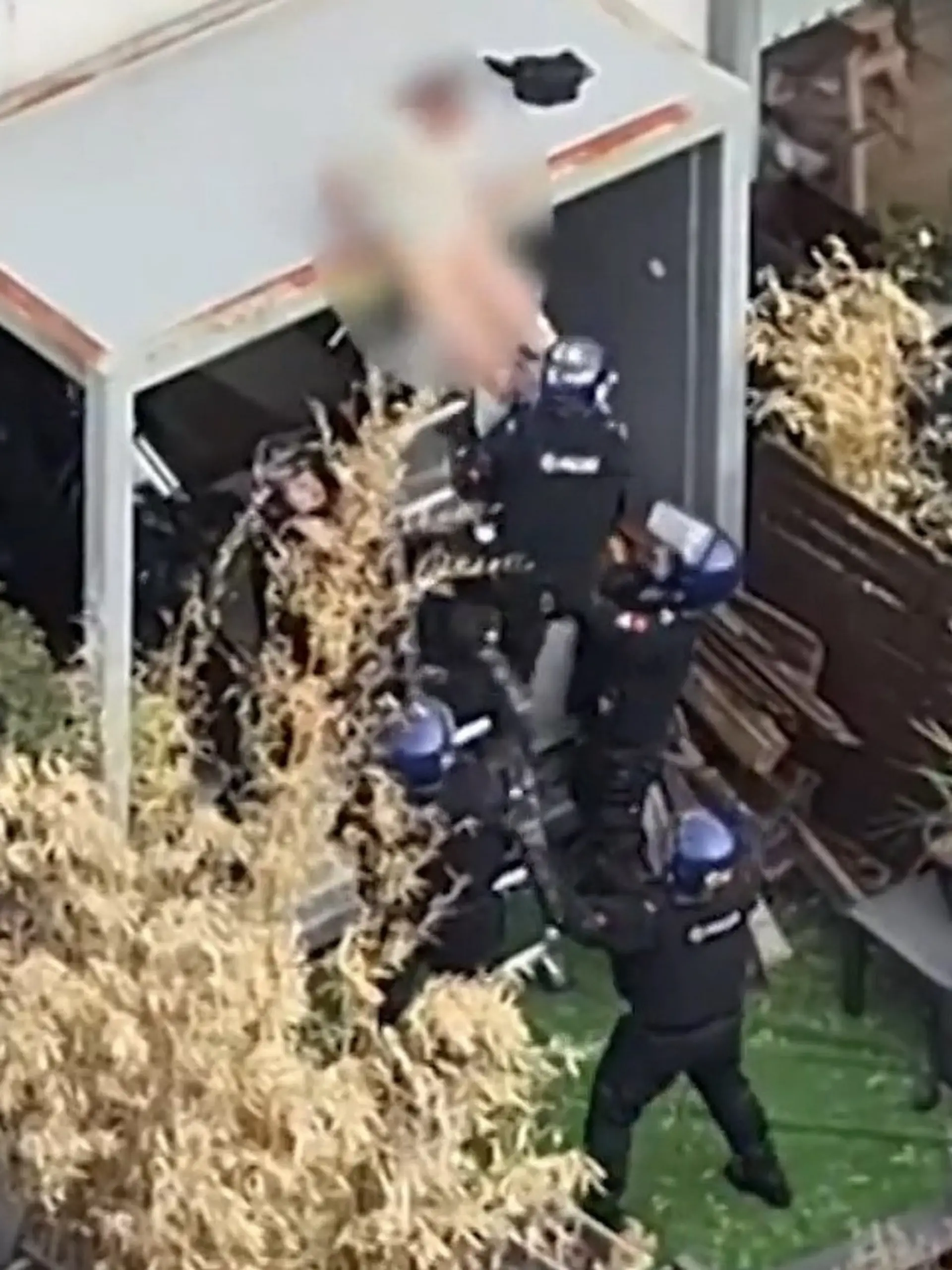 Bild zu: "Po-Blitzer bei Festnahme! Polizei schnappt Verbrecher – als er Nickerchen macht"