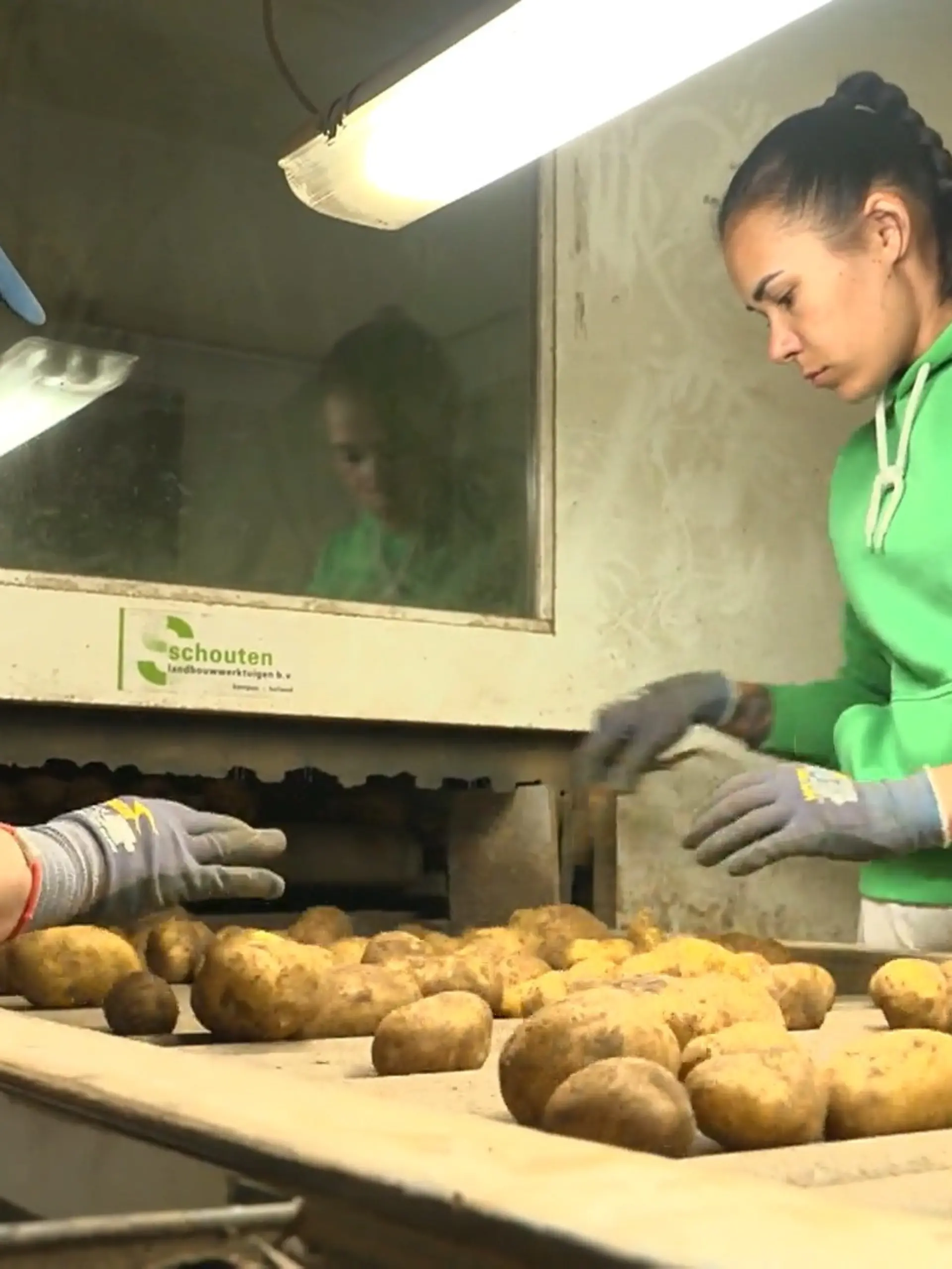 Bild zu: "So kommen Kartoffeln aus Dormagen direkt zum Kunden"