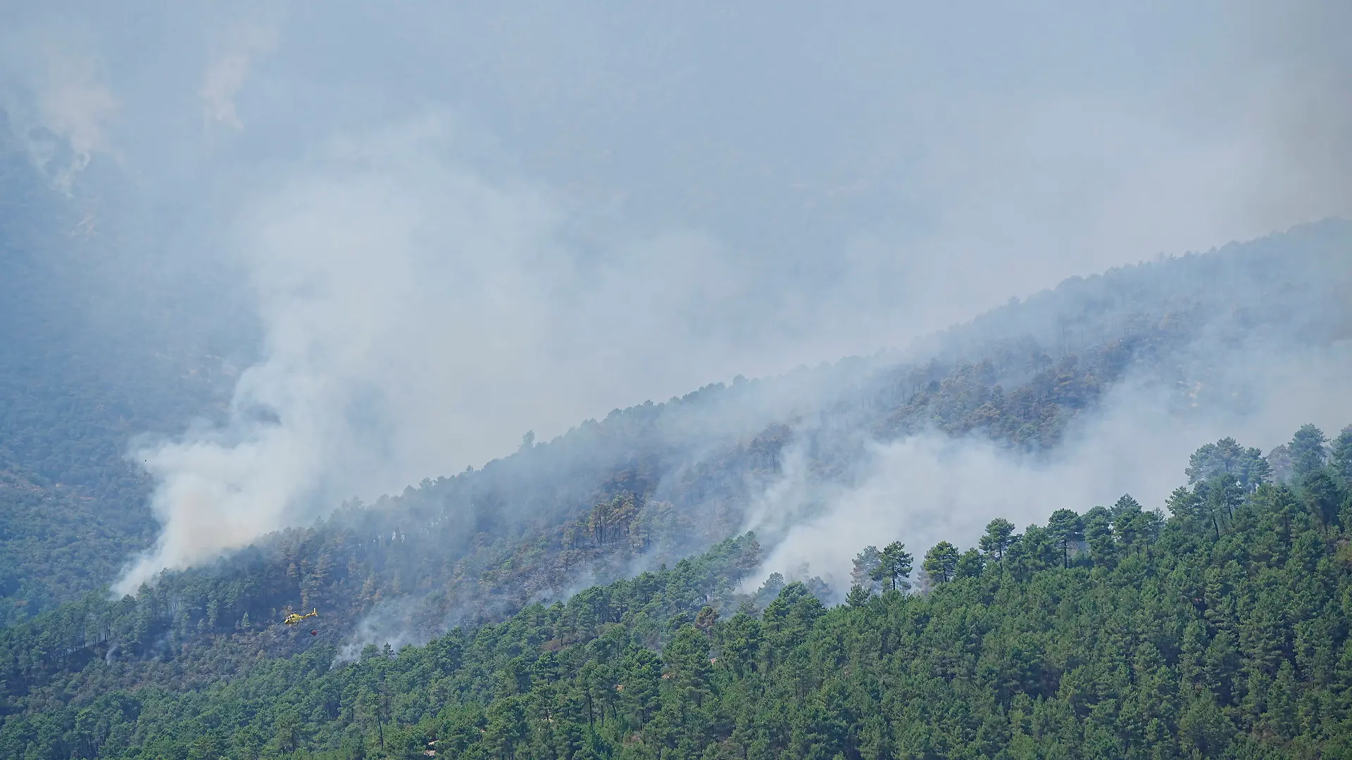 Unas 700 personas siguen evacuadas por el incendio de Pinofranqueado (Cáceres) que ha arrasado 1.600 hectáreas