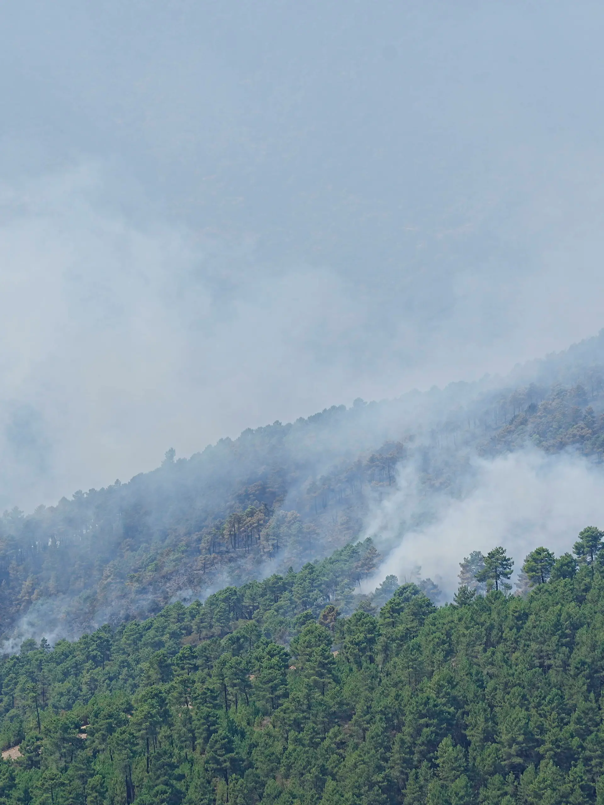 Unas 700 personas siguen evacuadas por el incendio de Pinofranqueado (Cáceres) que ha arrasado 1.600 hectáreas