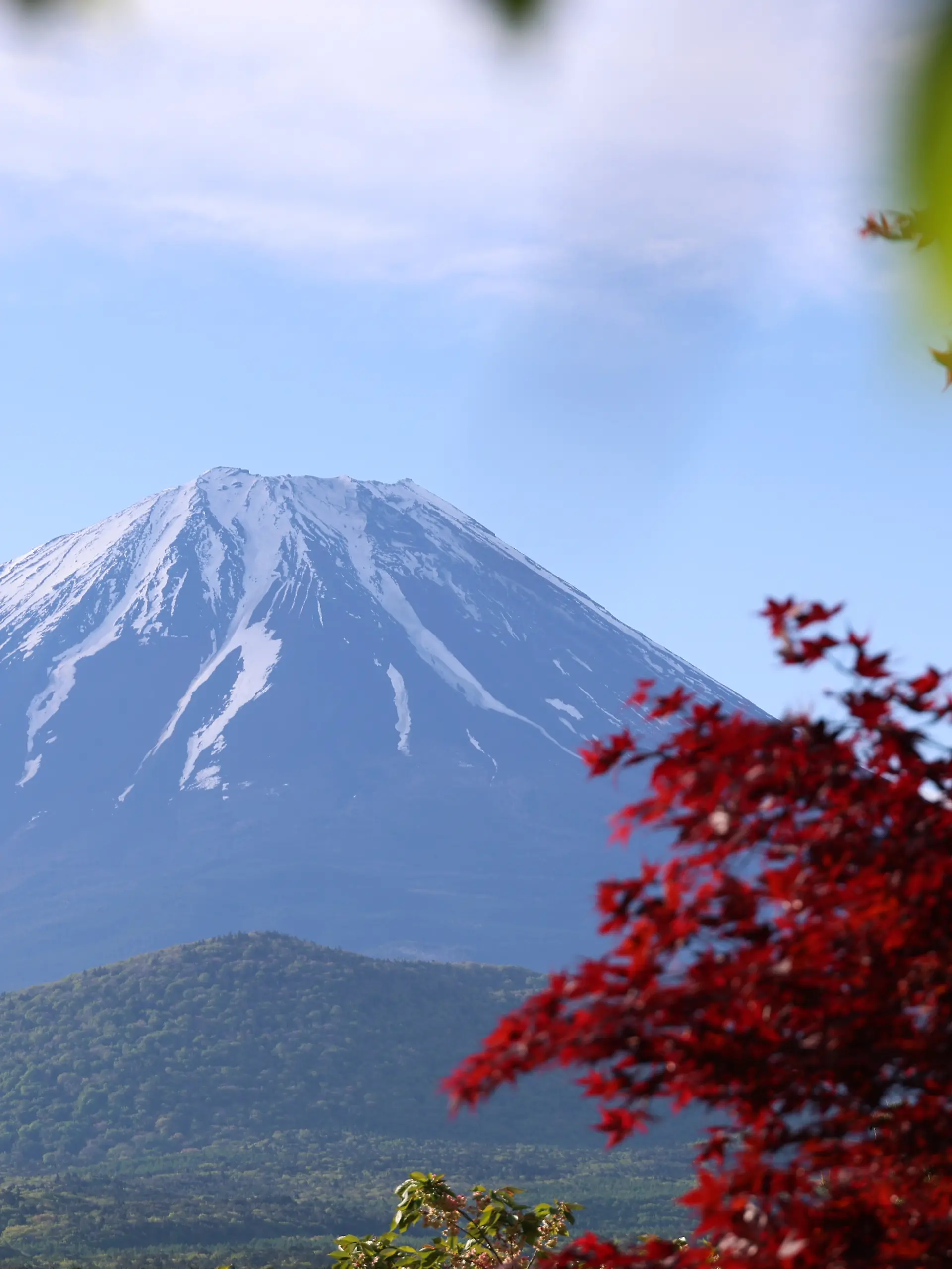 DIESES FOTO WIRD VON DER RUSSISCHEN STAATSAGENTUR TASS ZUR VERFÜGUNG GESTELLT. [RUSSIA, YAMANASHI PREFECTURE - MAY 9, 2026: A distant view of Mount Fuji as seen from Fujikawaguchiko. Arina Antonova/TASS]