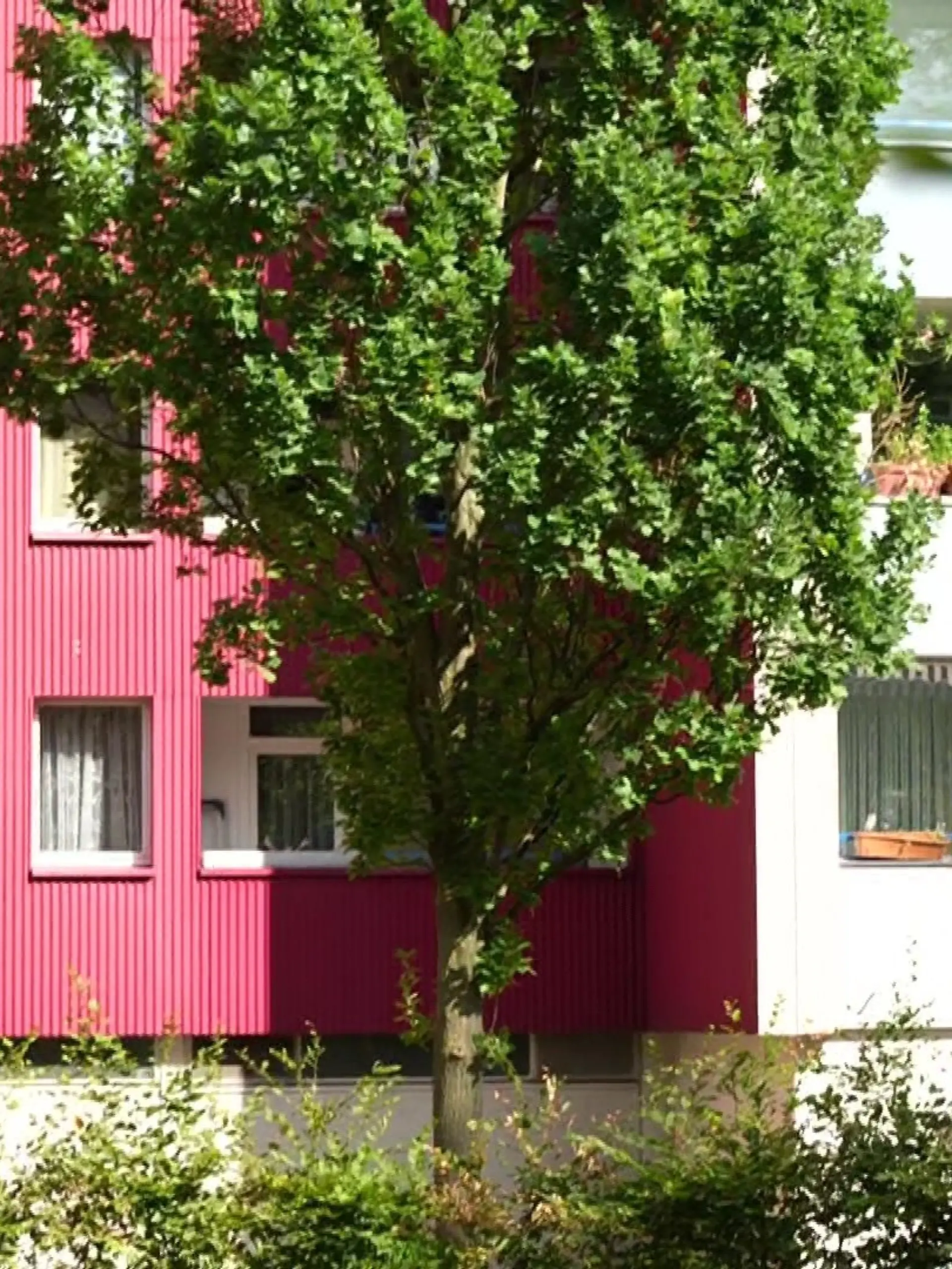 In diesem Dortmunder Hochhaus soll ein 15-Jähriger seinen eigenen Vater (49) getötet haben.