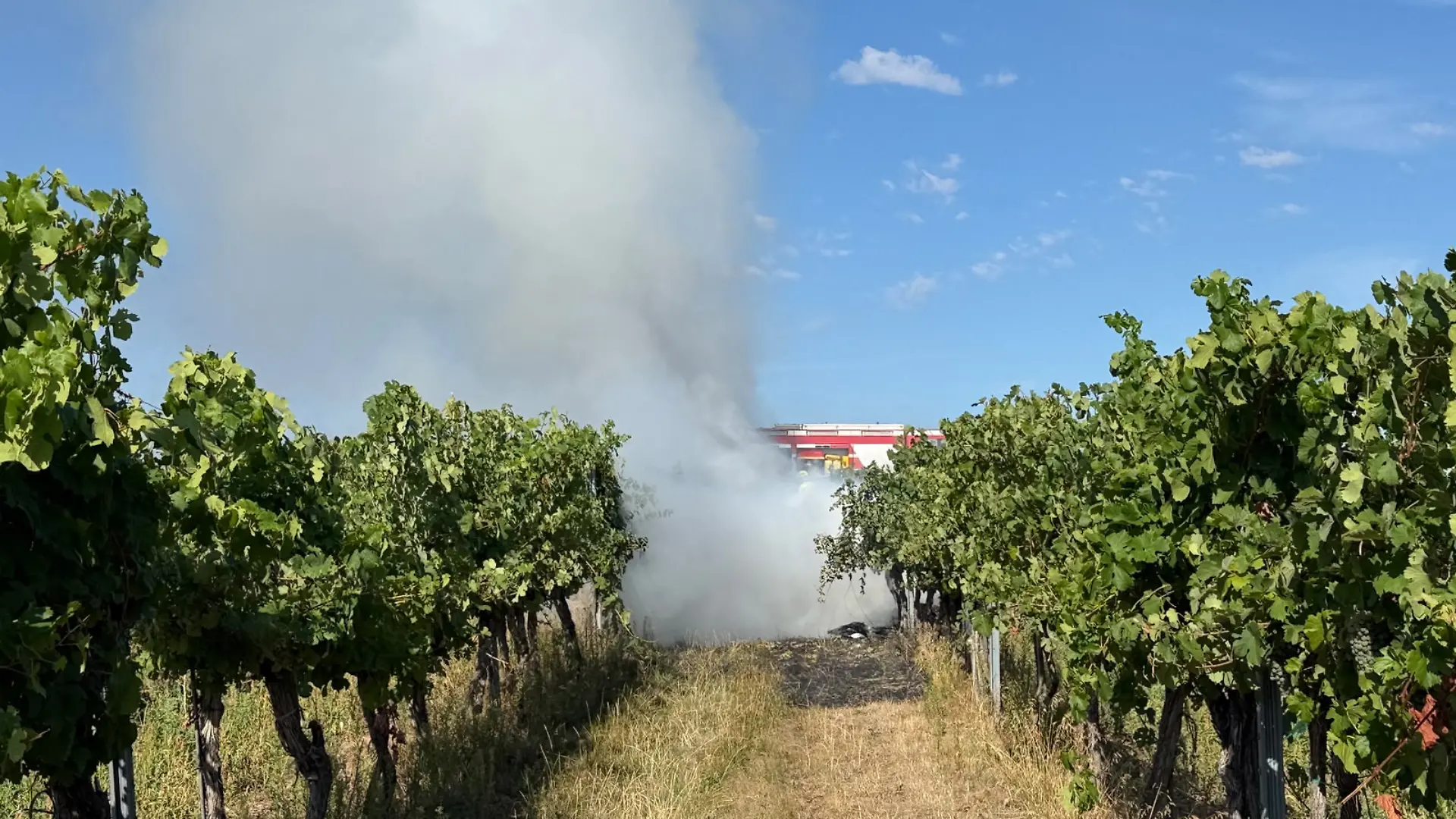HANDOUT - 24.08.2026, Österreich, Krems: Rauch steigt am Unfallort in der Nähe des Flugplatzes Krems-Gneixendorf auf. Bei dem Unfall mit zwei Kleinflugzeugen sind beide Piloten ums Leben gekommen. Die beiden Maschinen stießen in der Luft zusammen und stürzten in Gneixendorf bei Krems an der Donau ab. Foto: Unbekannt/BFKDO KREMS via APA/dpa - ACHTUNG: Nur zur redaktionellen Verwendung im Zusammenhang mit der aktuellen Berichterstattung und nur mit vollständiger Nennung des vorstehenden Credits +++ dpa-Bildfunk +++
