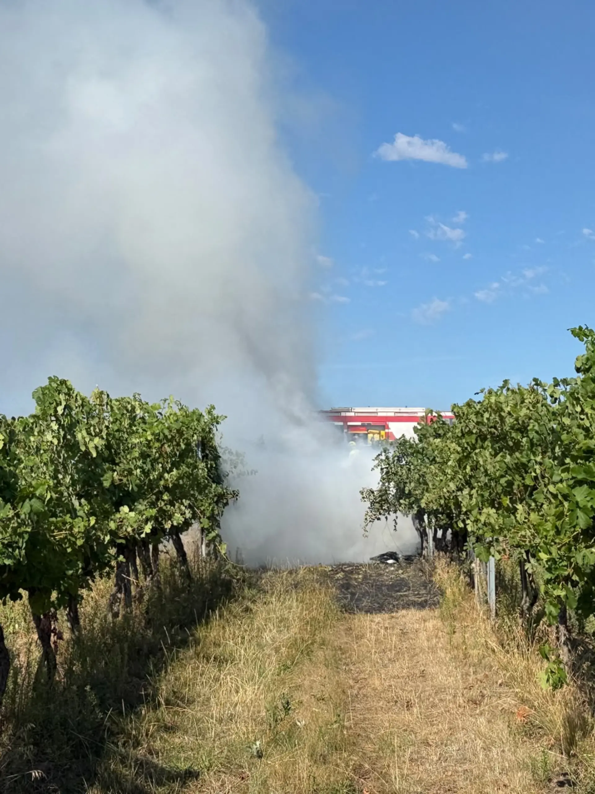 HANDOUT - 24.08.2026, Österreich, Krems: Rauch steigt am Unfallort in der Nähe des Flugplatzes Krems-Gneixendorf auf. Bei dem Unfall mit zwei Kleinflugzeugen sind beide Piloten ums Leben gekommen. Die beiden Maschinen stießen in der Luft zusammen und stürzten in Gneixendorf bei Krems an der Donau ab. Foto: Unbekannt/BFKDO KREMS via APA/dpa - ACHTUNG: Nur zur redaktionellen Verwendung im Zusammenhang mit der aktuellen Berichterstattung und nur mit vollständiger Nennung des vorstehenden Credits +++ dpa-Bildfunk +++