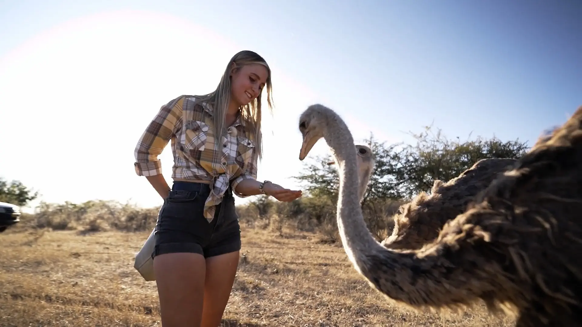 Maike sucht in Namibia eine Liebe wie bei ihren Eltern 700 Tiere, ein Herzenswunsch