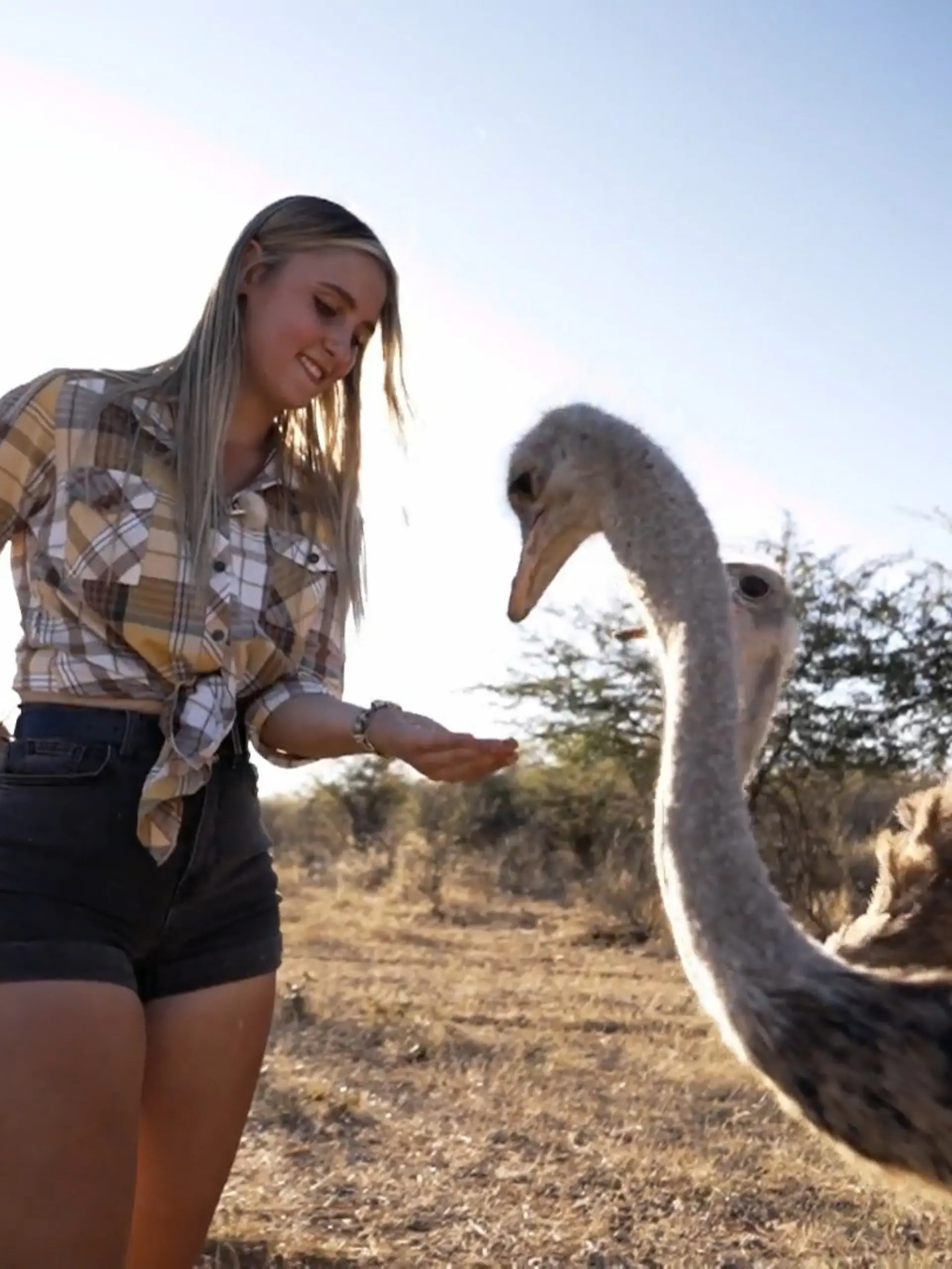 Bild zu: "Maike sucht in Namibia eine Liebe wie bei ihren Eltern"