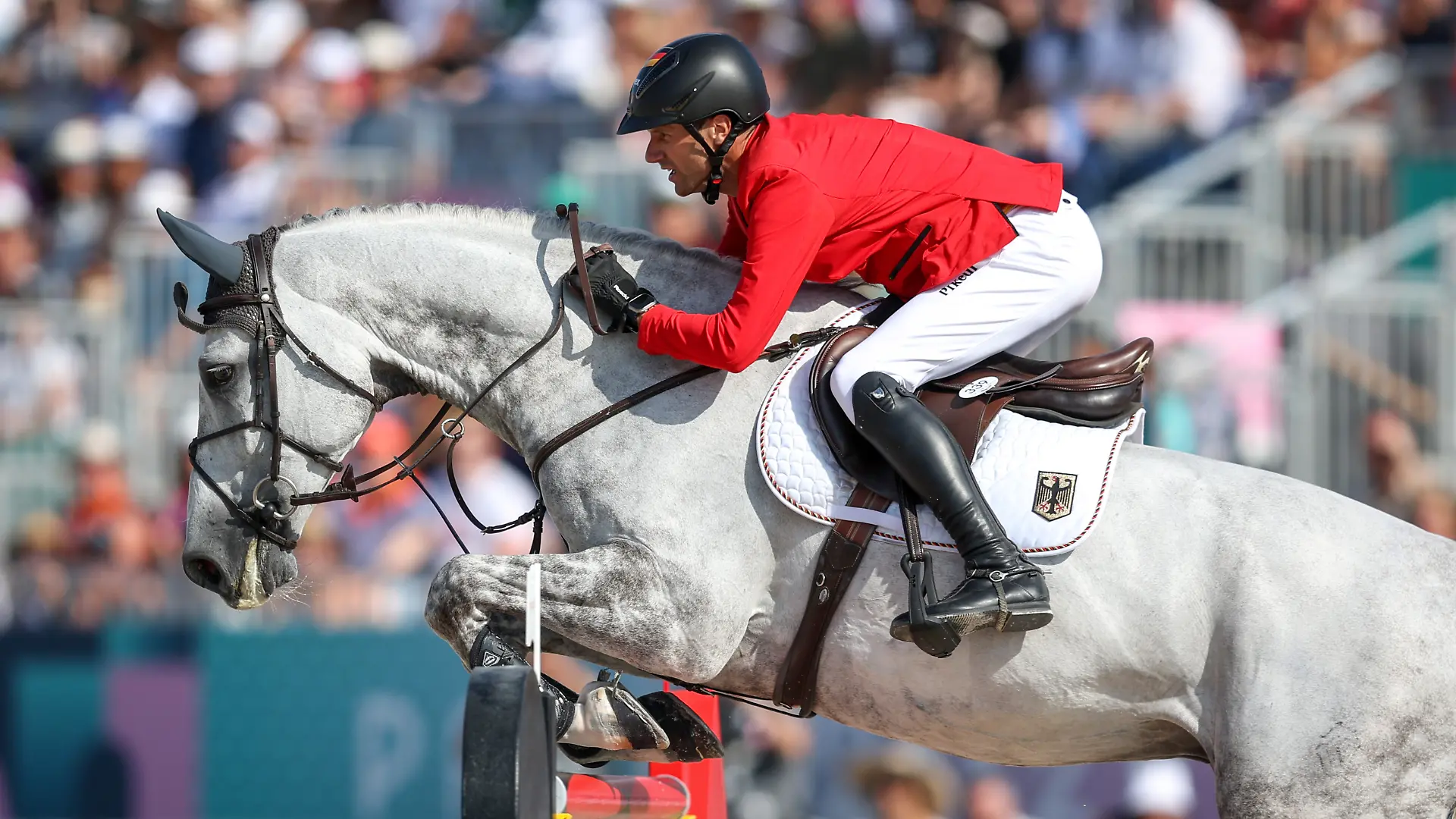 Olympiasieger im Springreiten Christian Kukuk mit Checker 47 Pferdesport Springreiten Einzel am Schloss Versailles Olympische Sommer Spiele in Paris 2024 Olympic Summer Games in Paris 2024 Copyright by : sampics Photographie