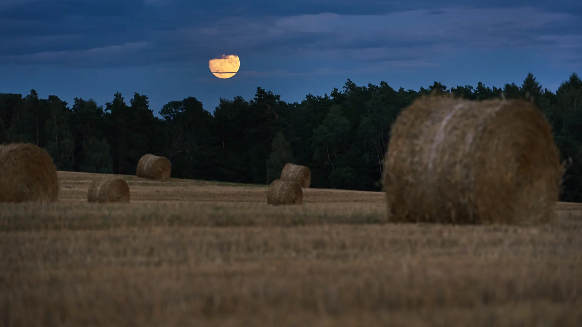 Im September erwartet uns ein emotionaler Erntemond.