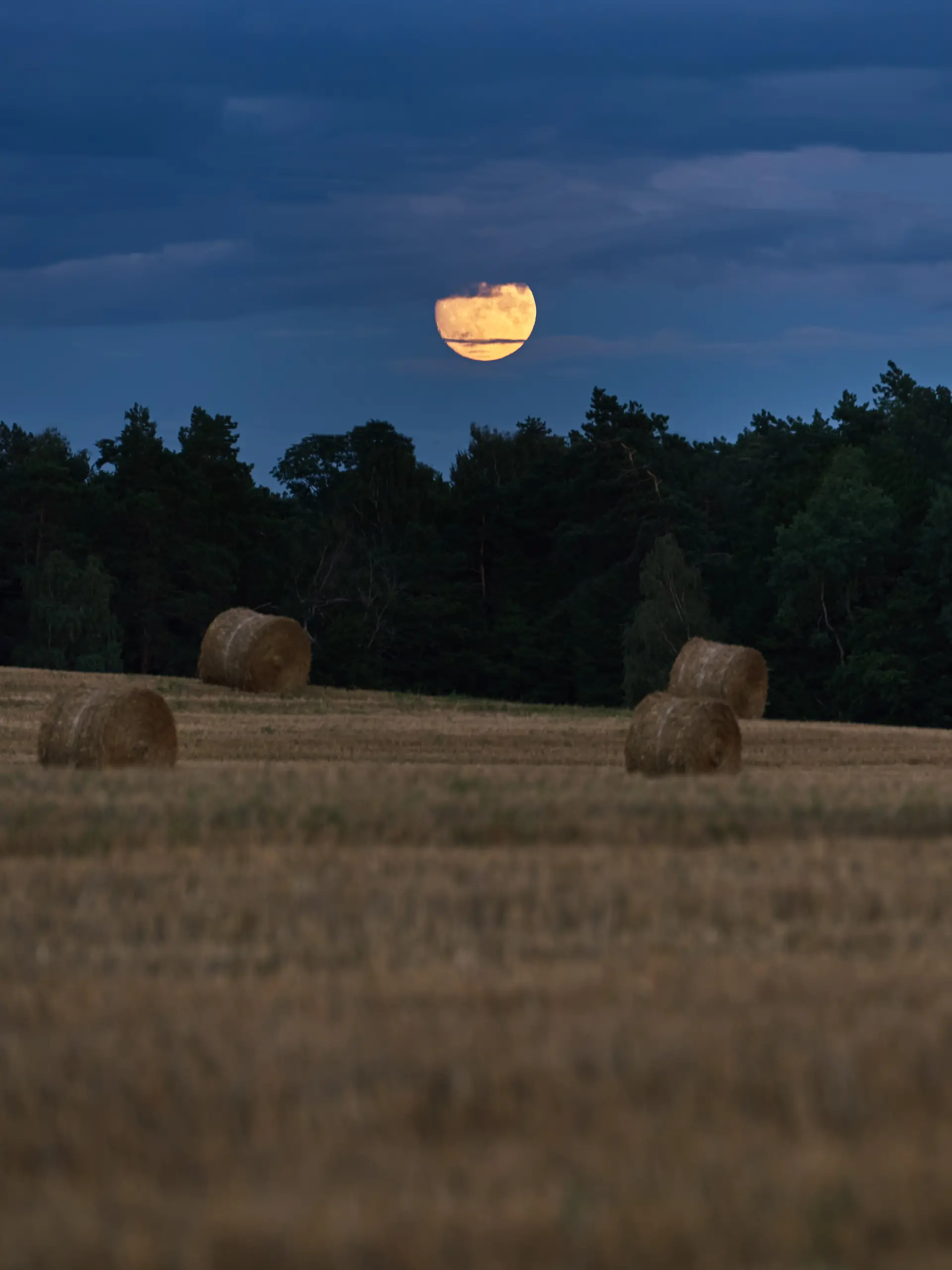 Im September erwartet uns ein emotionaler Erntemond.