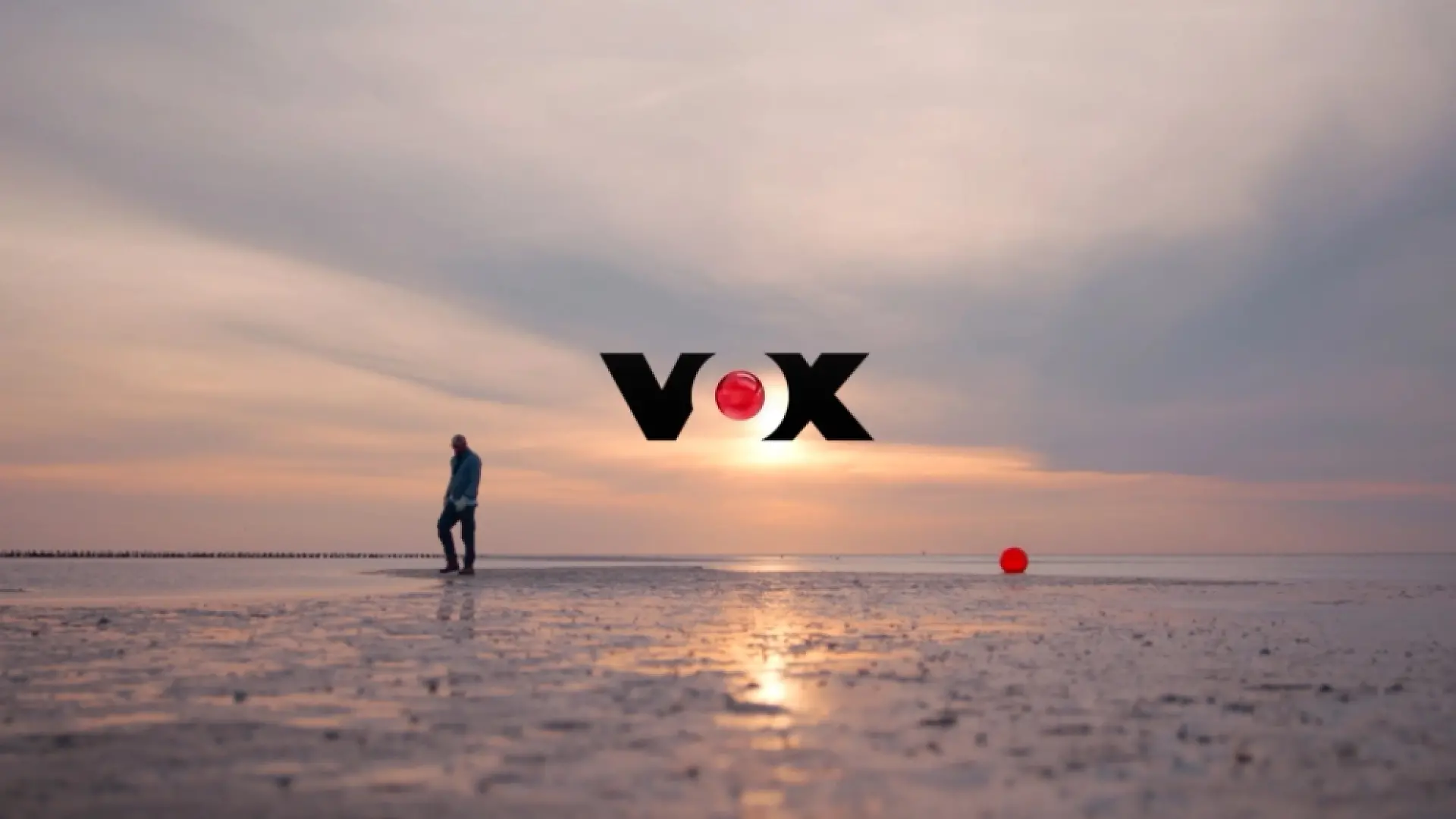 VOX Logo