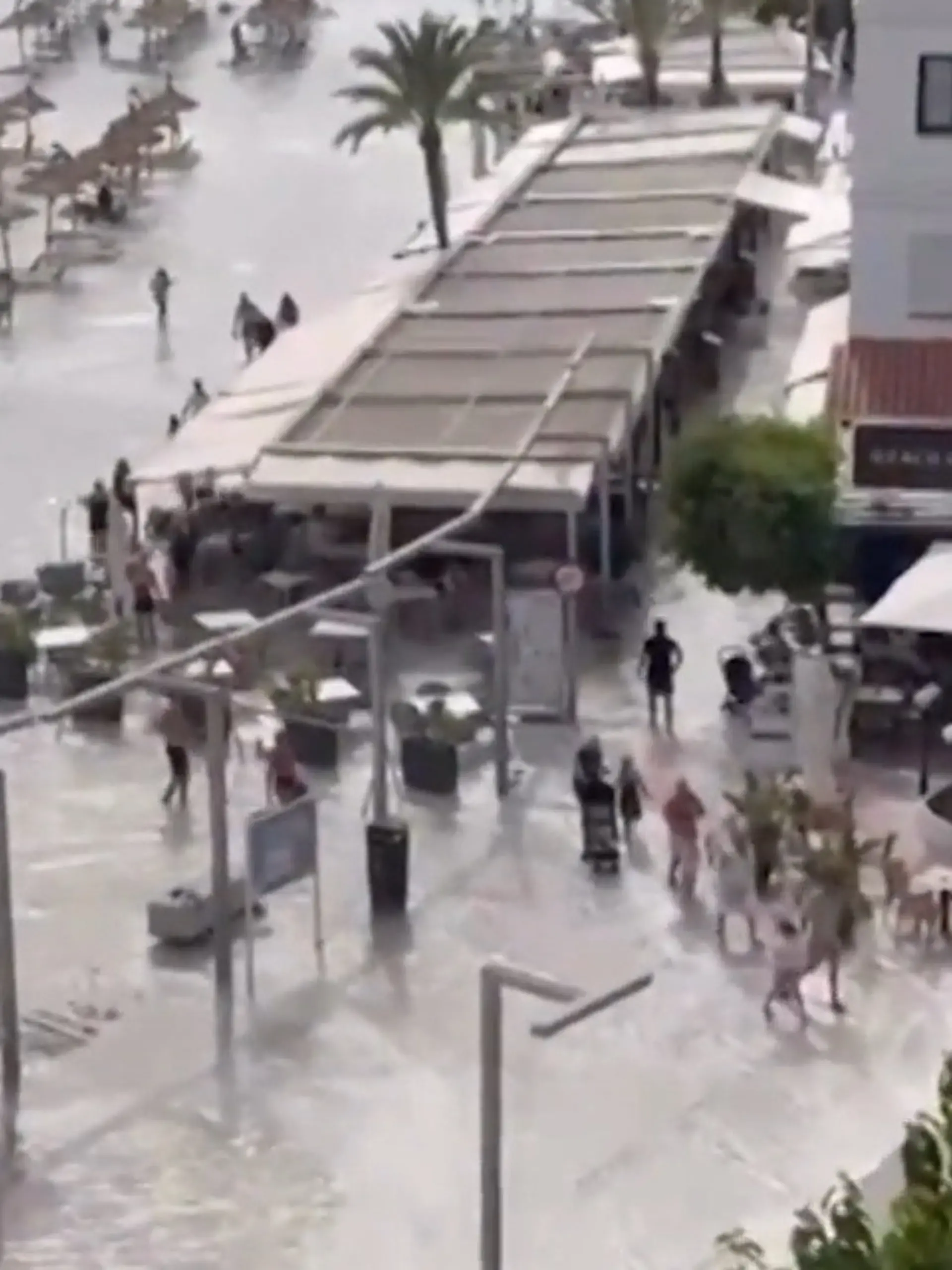 Bild zu: "Mini-Tsunamis auf Mallorca – seltenes Phänomen überschwemmt Hafen!"