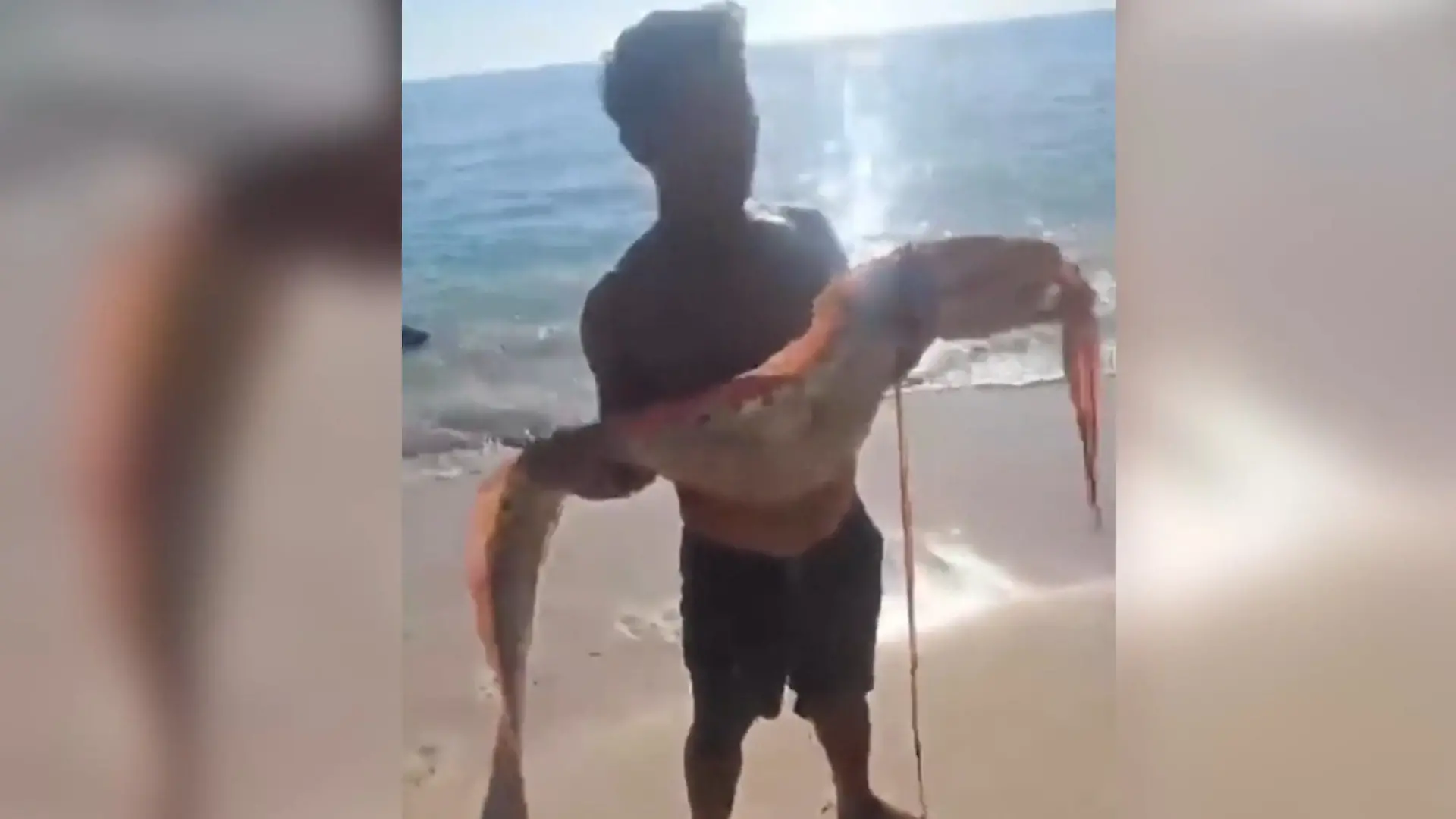 Unglücks-Ungeheuer angespült! Kinder entdecken Vier-Meter-Fisch – und machen DAS damit Mysteriöser Fund in Indonesien