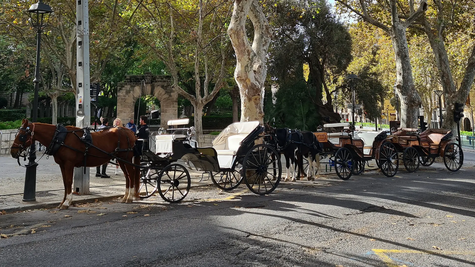 Pferdekutschen in Palma auf Mallorca (Symbolbild)