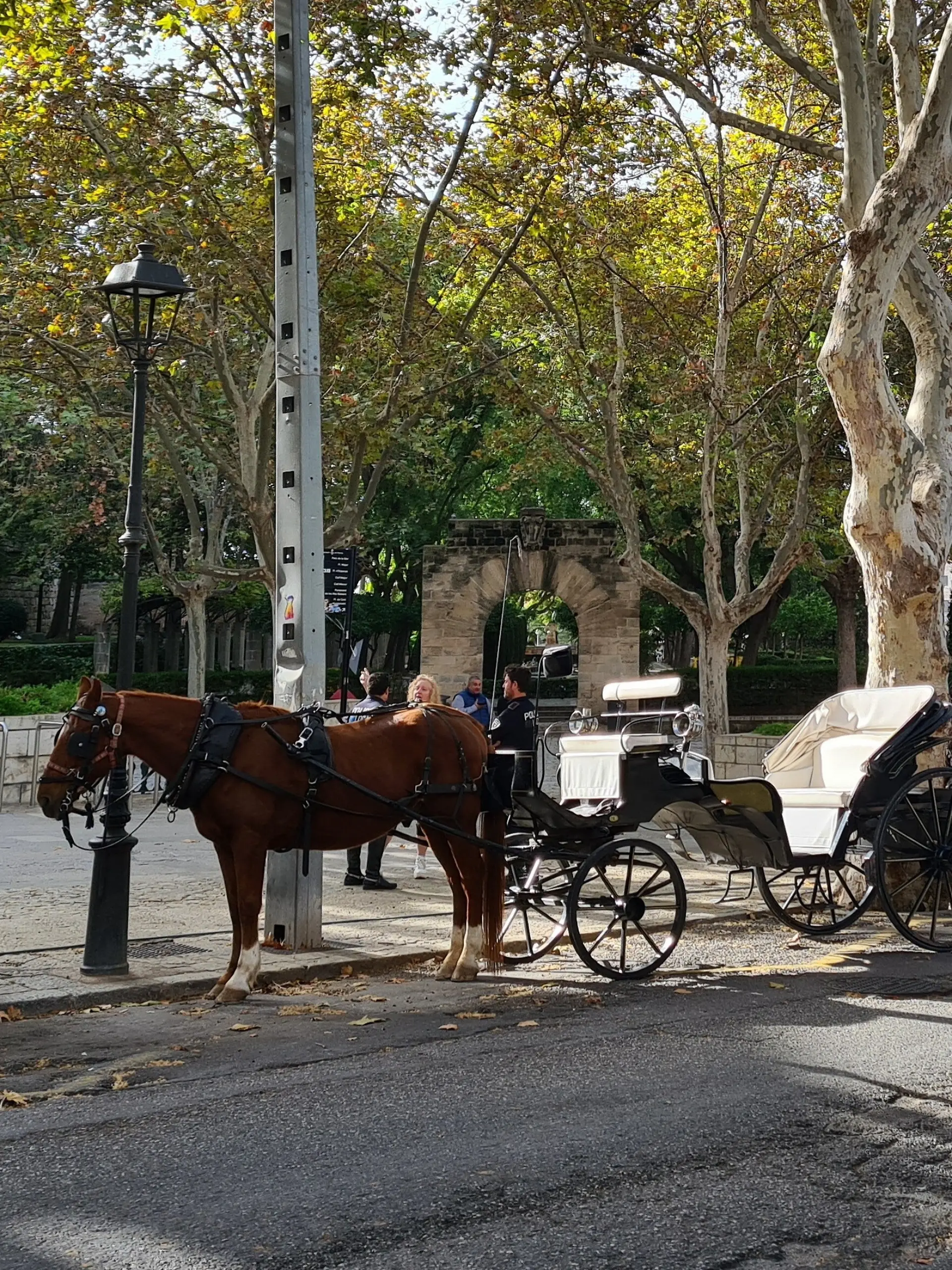 Pferdekutschen in Palma auf Mallorca (Symbolbild)
