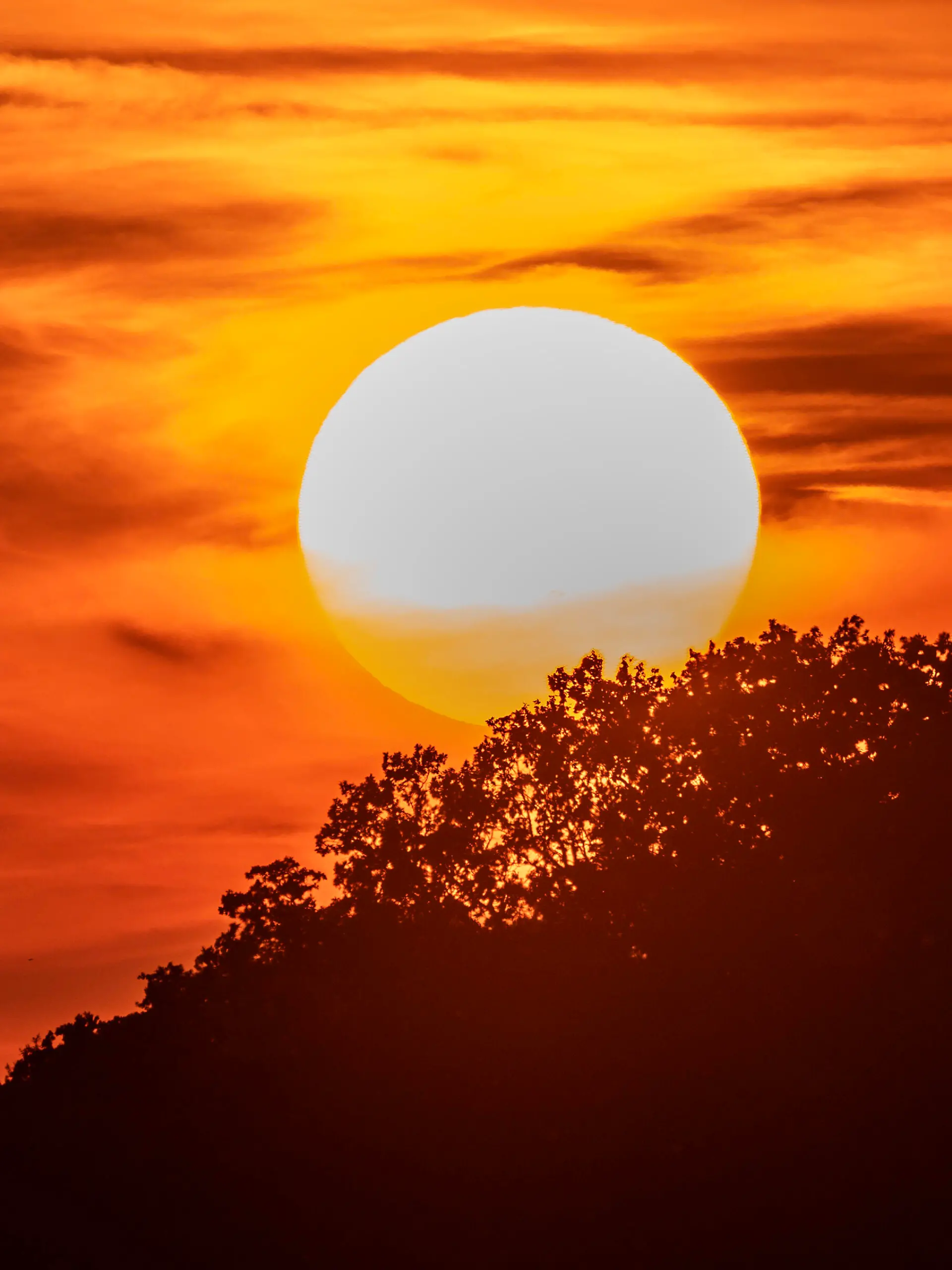 Deutschland, München, 27. Juni 2026, Sonnenuntergang vor der heißesten Nacht des Jahres, die Sonne versinkt um kurz nach 21 Uhr hinter einem Waldstück am Münchner Stadtrand, Abendrot, die folgende Nacht auf den 28. Juni brachte kaum Abkühlung, Beginn einer Tropennacht mit Temperaturen teils deutlich über 20 Grad, Rekordhitze am Tag, Rekordhitze bei Nacht, Landschaft, Kippmoment, Klima, Klimawandel, Bayern, bayerisch,