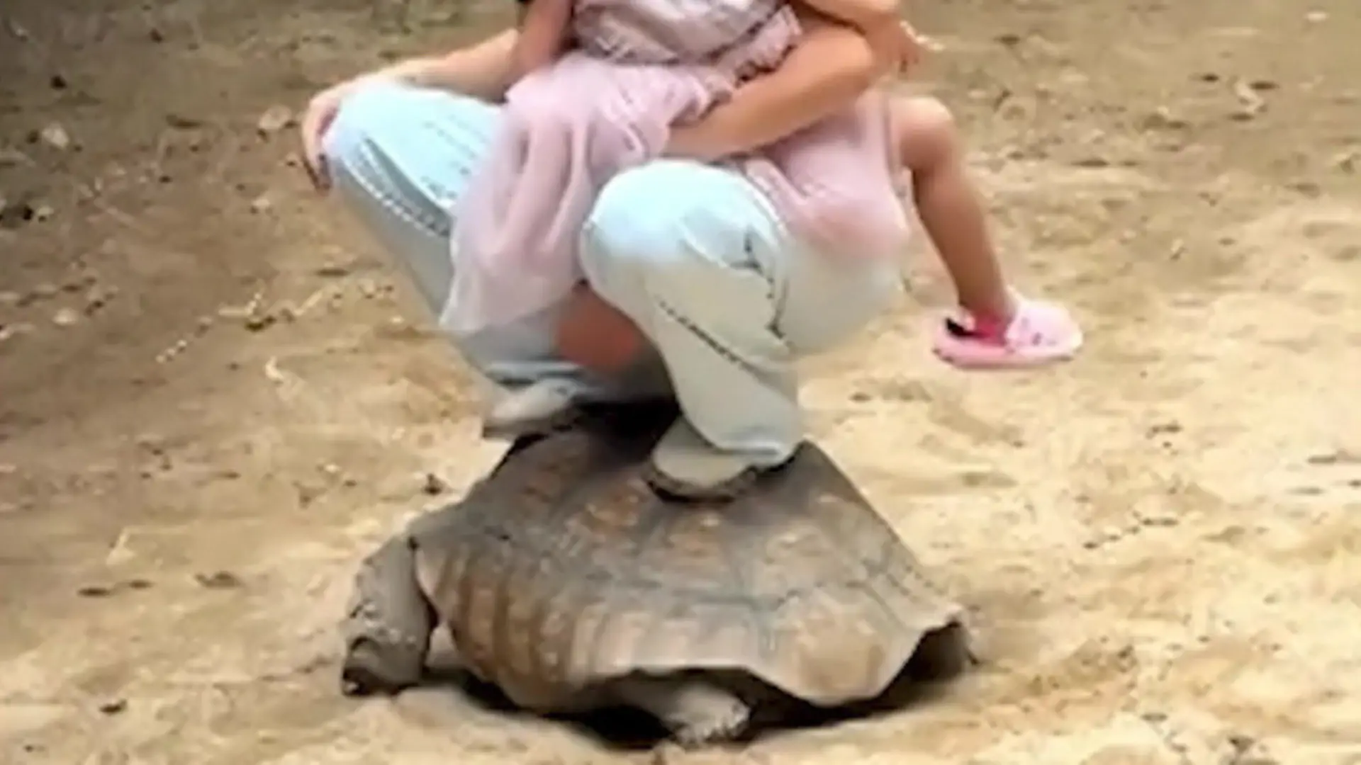 Mutter stellt sich AUF Schildkröte – mit Tochter im Arm! Horror-Aktion im Freizeitpark