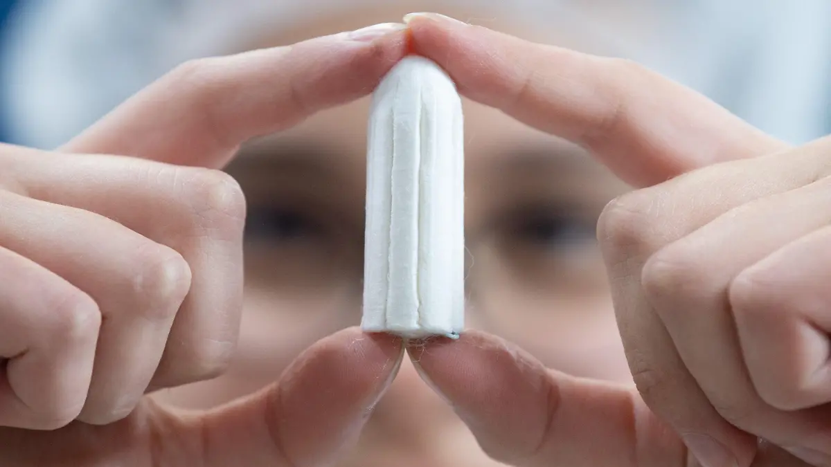 ARCHIV - 04.12.2019, ---: Ein Tampon wird von einer Angestellten in einer Produktionshalle gehalten. (Illustration zu dpa: "Binden und Tampons in Schottland bald kostenlos erhältlich") Foto: Sebastian Kahnert/dpa-Zentralbild/dpa +++ dpa-Bildfunk +++