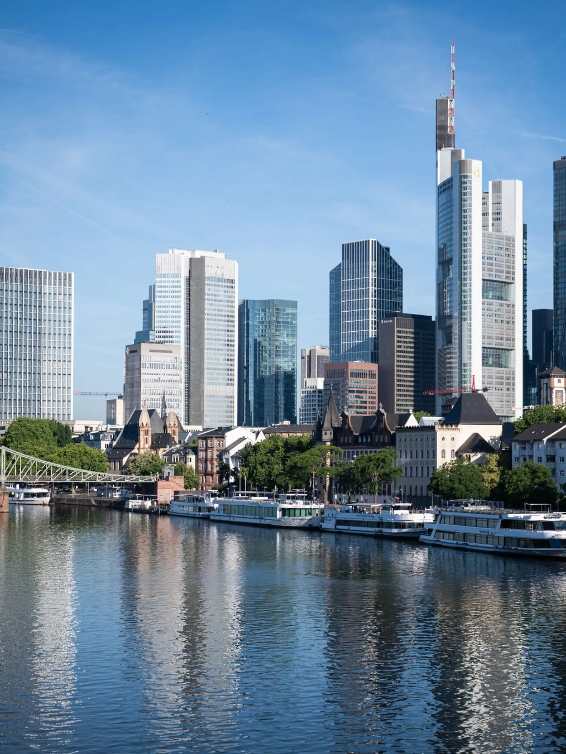 Bild zu: "Weitere Malaria-Fälle in Frankfurt! Hat das Gesundheitsamt die Gefahr unterschätzt?"