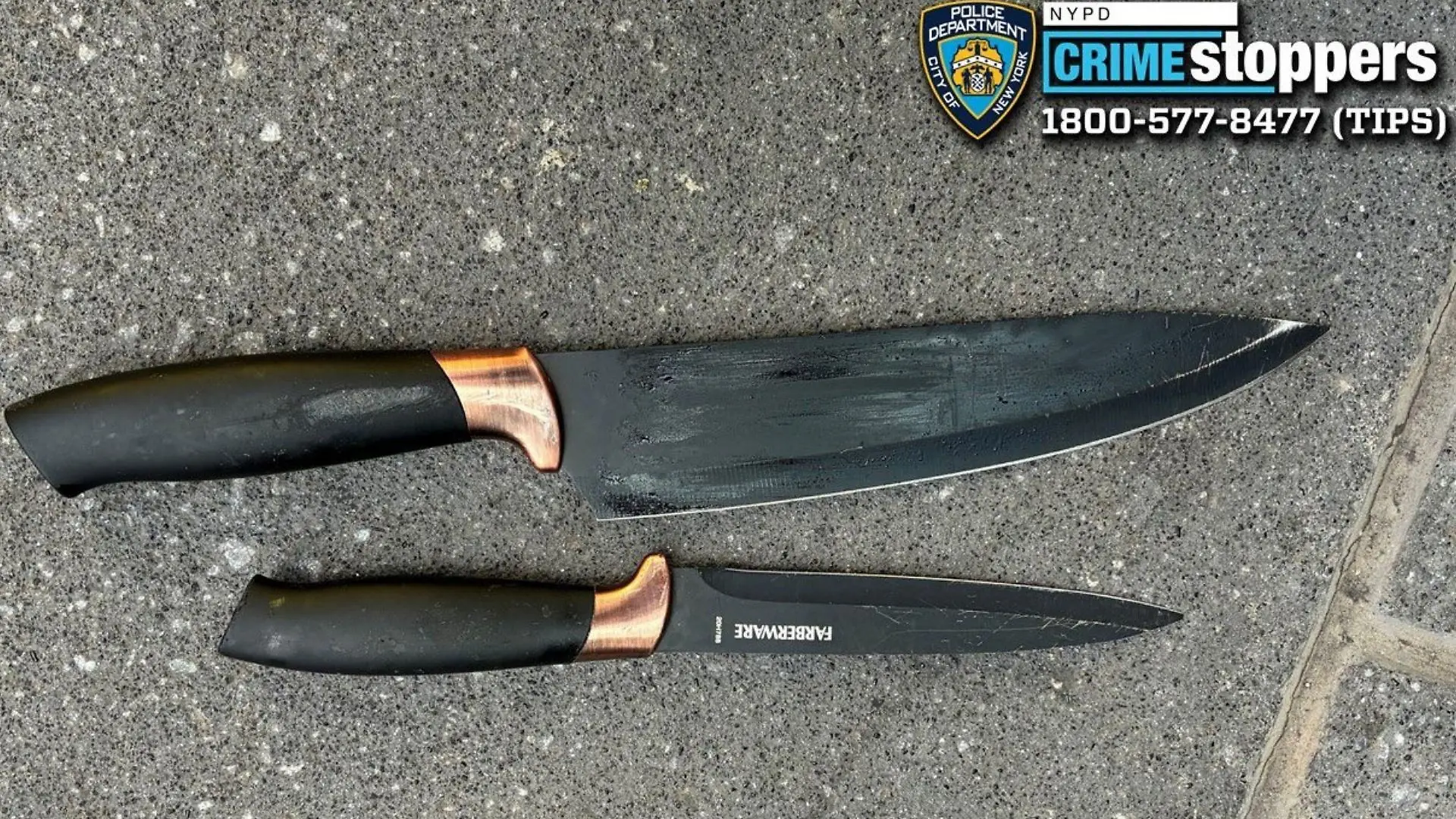 Diese beiden Messer soll Pamela Cisneros bei der tödlichen Attacke benutzt haben.
