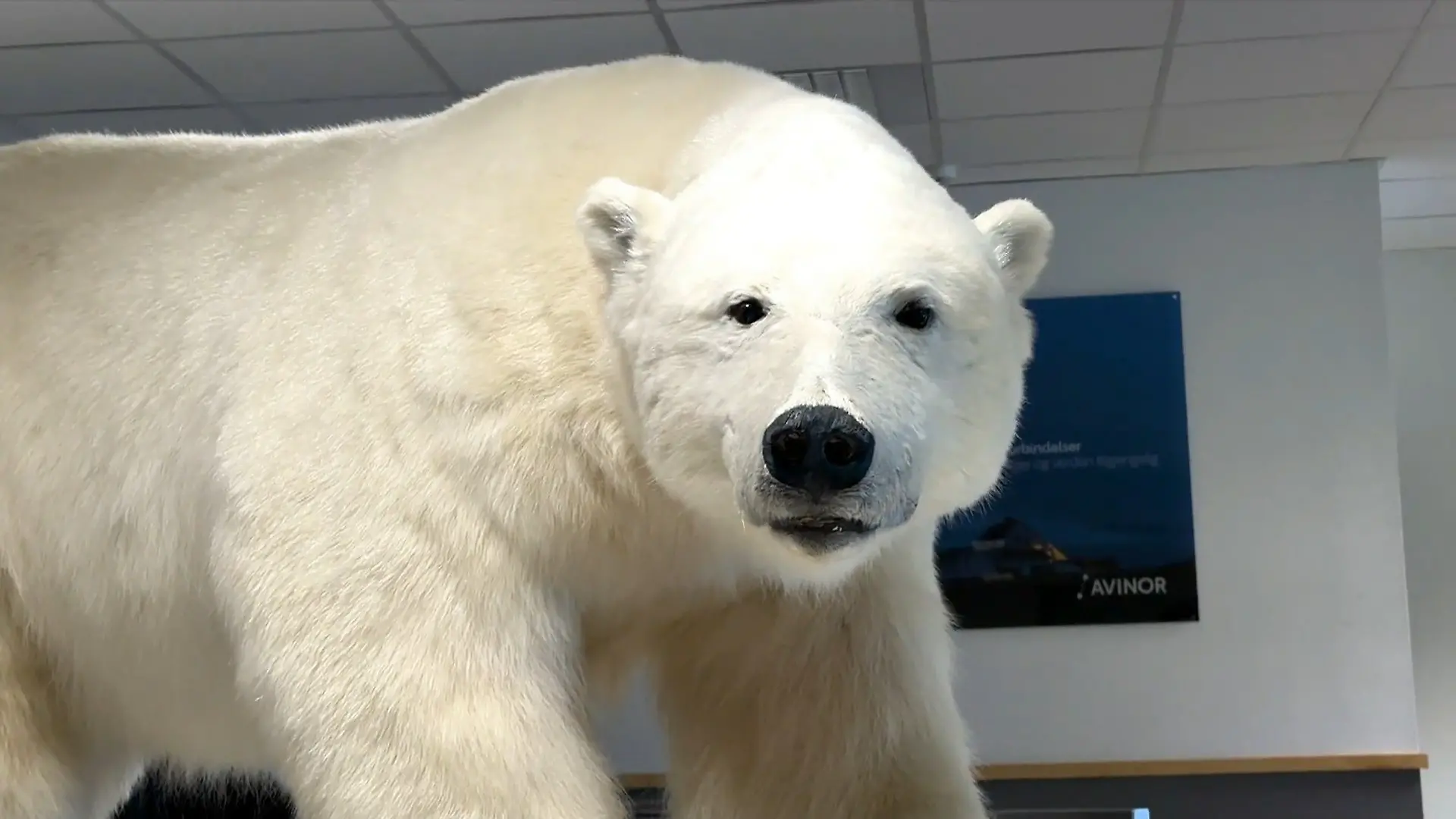 Deutsche Eisbären-Wächterin auf Spitzbergen Franka Leiterer beschützt Menschen vor Eisbären