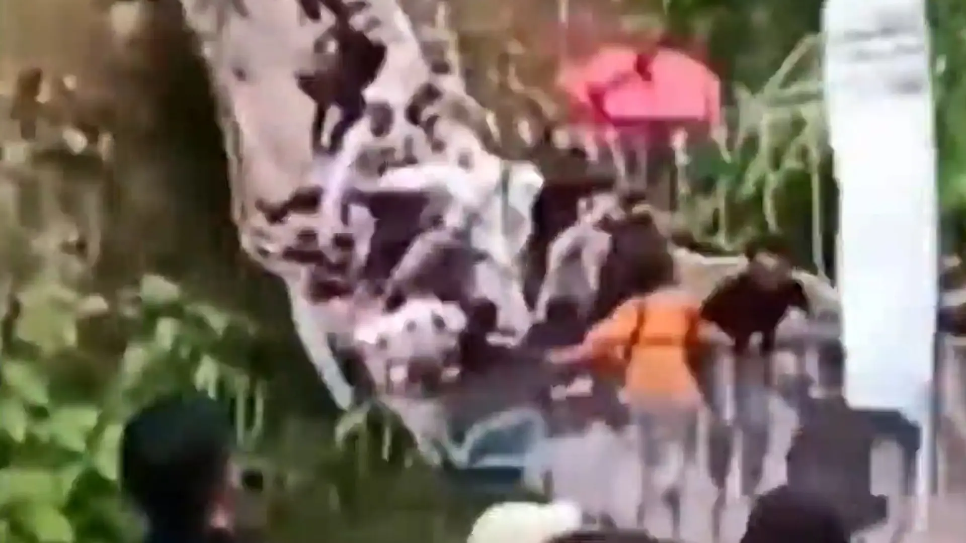 Während Einweihung! Hängebrücke stürzt ein – 50 Menschen rauschen in die Tiefe Erst Vorfreude, dann Drama