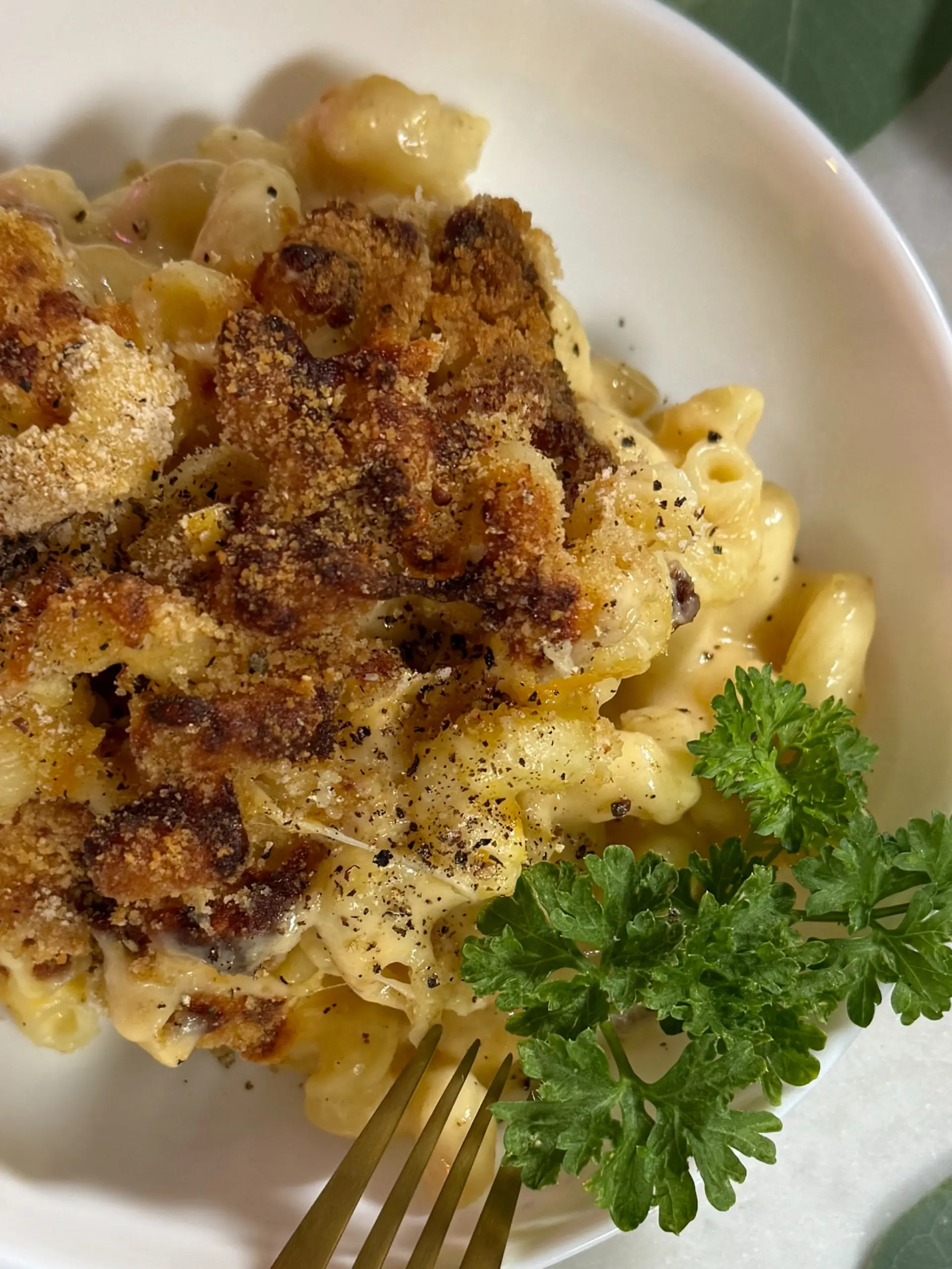 Bild zu: "Unwiderstehliche Mac and Cheese – unten cremig, oben crunchy!"