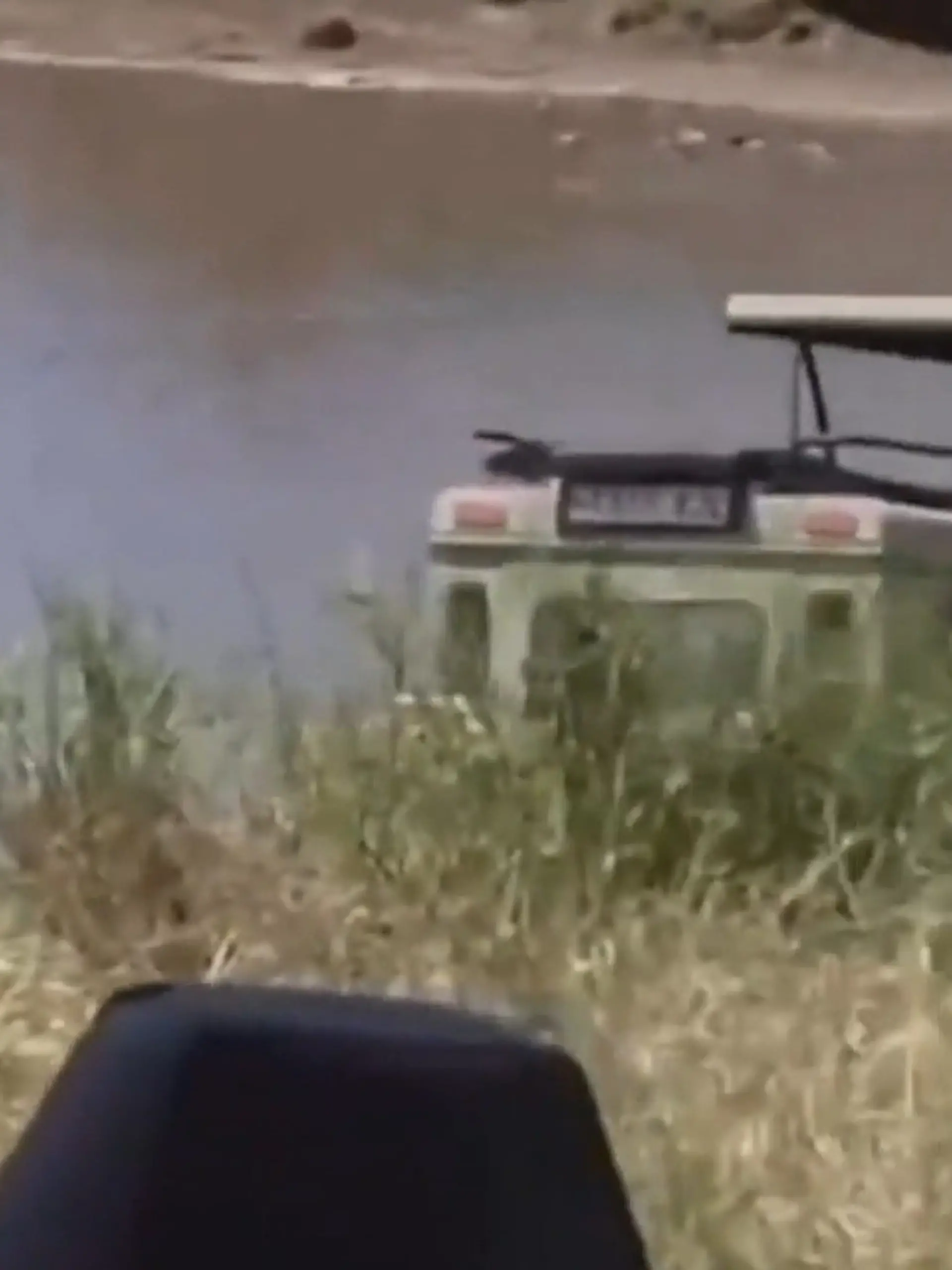 Bild zu: "Touristen-Jeep stürzt Richtung Wasser – in dem Krokodile auf Beute lauern!"