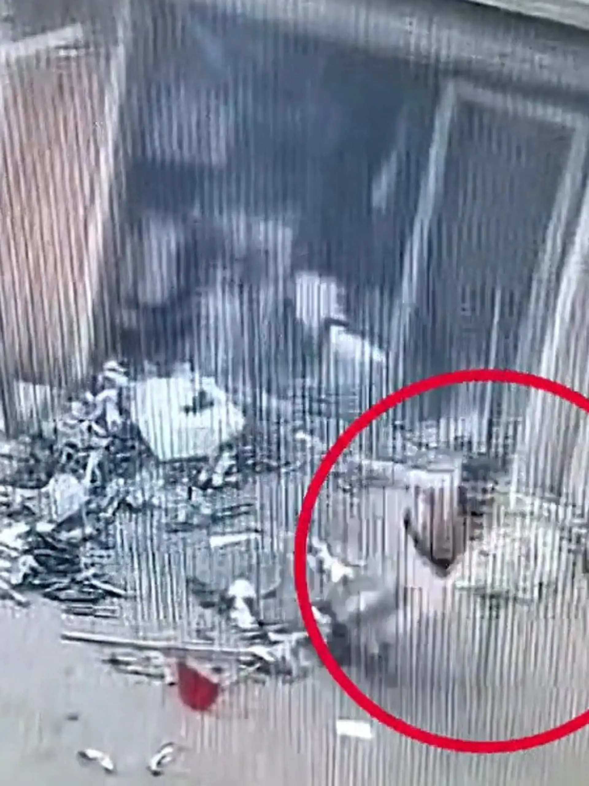 Bild zu: "Halbnackte Flucht! Explosion reißt Mann die Kleidung vom Leib"