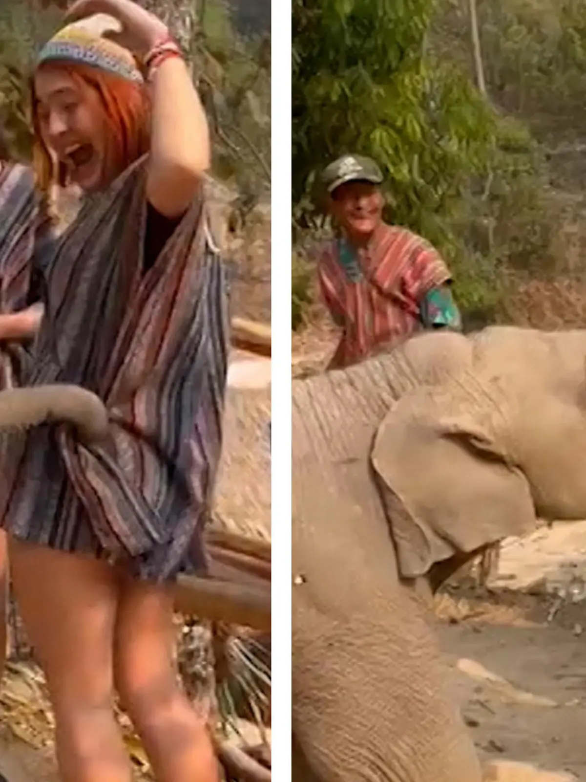 Elefantenbaby Jumbo ist zwar noch recht klein, aber er hat Großes vor. Sein neckischer Plan: Er will einer Touristin in der thailändischen Provinz Chiang Mai mit seinem Rüssel das Kleid ausziehen. Ob ihm das gelingt sehen Sie im Video.