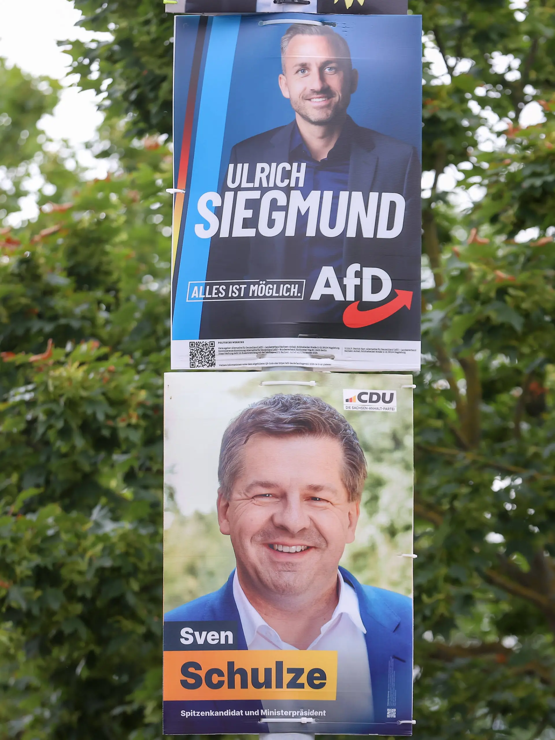 Aktuell liegt die AfD in Sachsen-Anhalt klar vor der CDU 