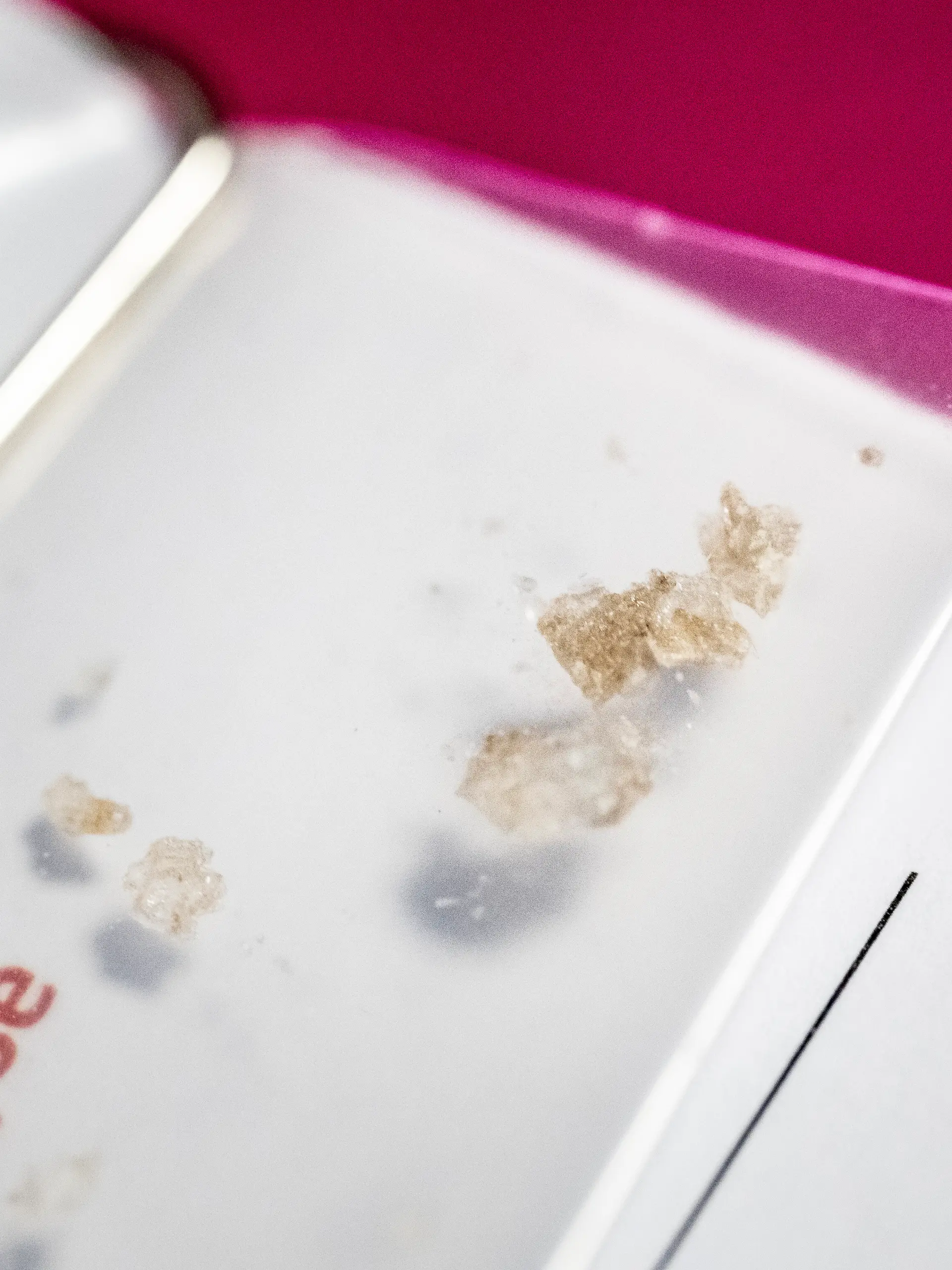 Eine Probe mit MDMA und dem Anmeldetallon im Testlabor des Drogeninformationszentrum (Diz) an der Langstrasse am Freitag, 31. Juli 2026 in Zuerich. Das Drogeninformationszentrum der Stadt Zuerich bietet Konsumentinnen und Konsumenten die Moeglichkeit, Drogen auf Dosierung und Verunreinigungen zu testen und gibt in Beratungsgespraechen Infos zum Konsum. (KEYSTONE/Claudio Thoma)