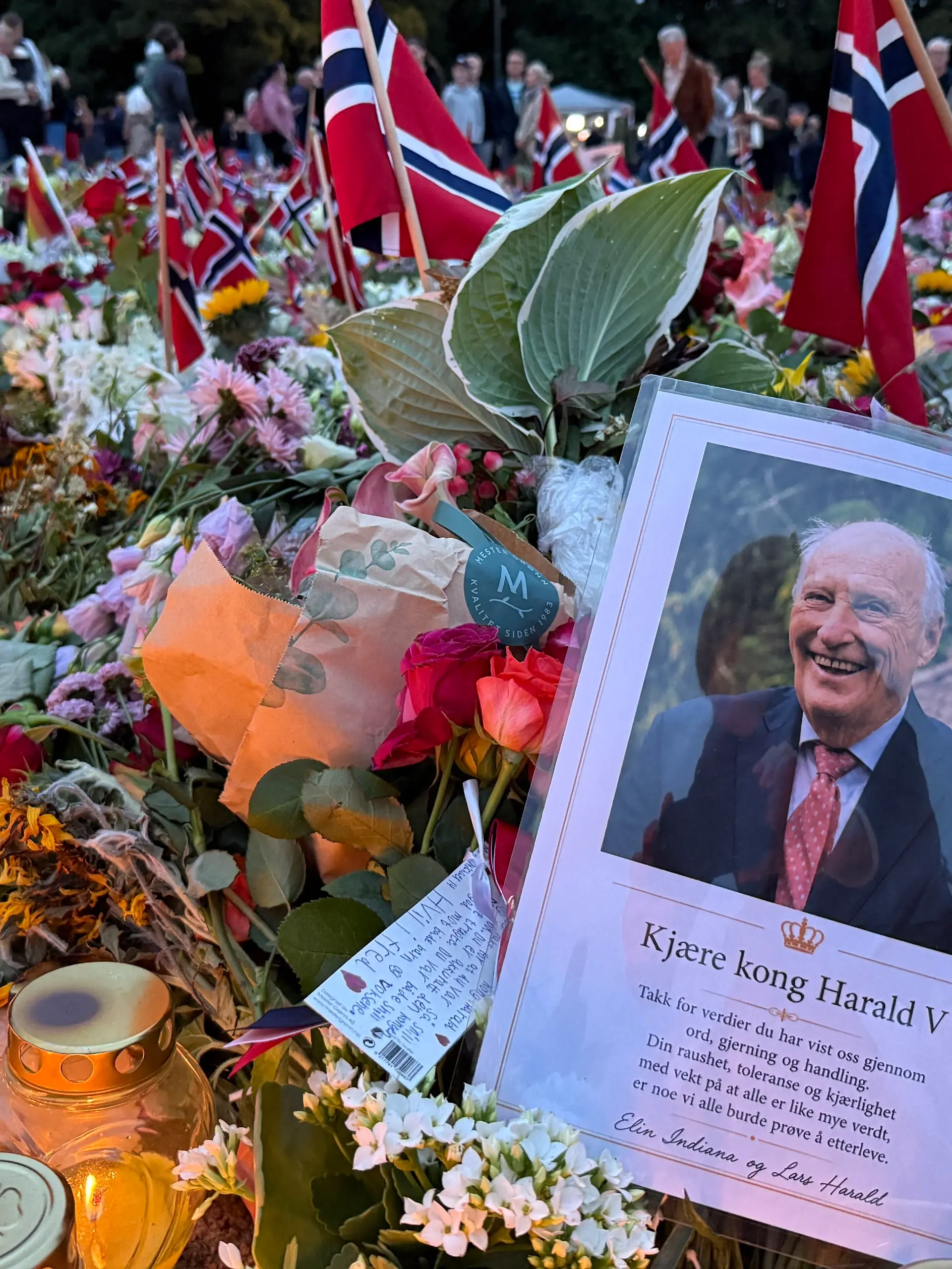 Bild zu: "Beerdigung von König Harald V. – so läuft der Tag ab"