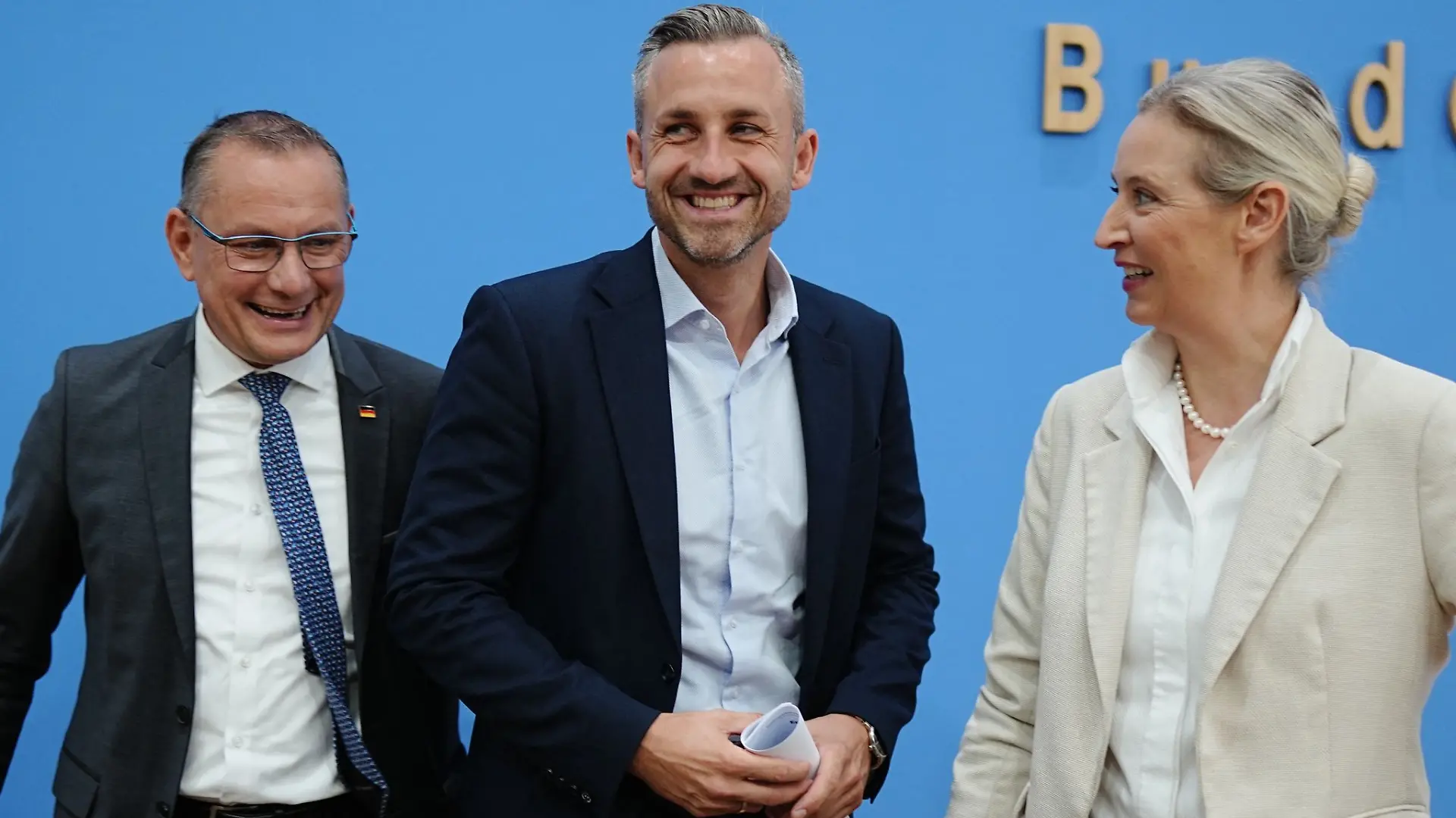 Bild zu: "AfD-Spitzen erklären ihre Pläne für Deutschland"