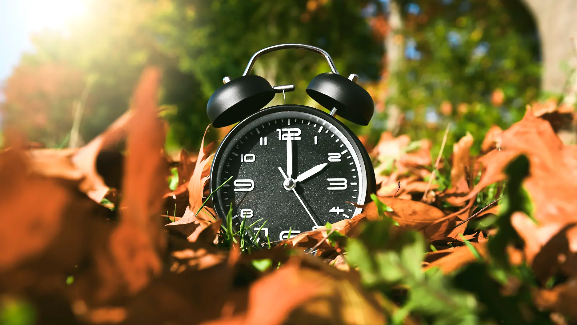 Wecker zwischen Herbstblättern, Symbolfoto Zeitumstellung und Winterzeit