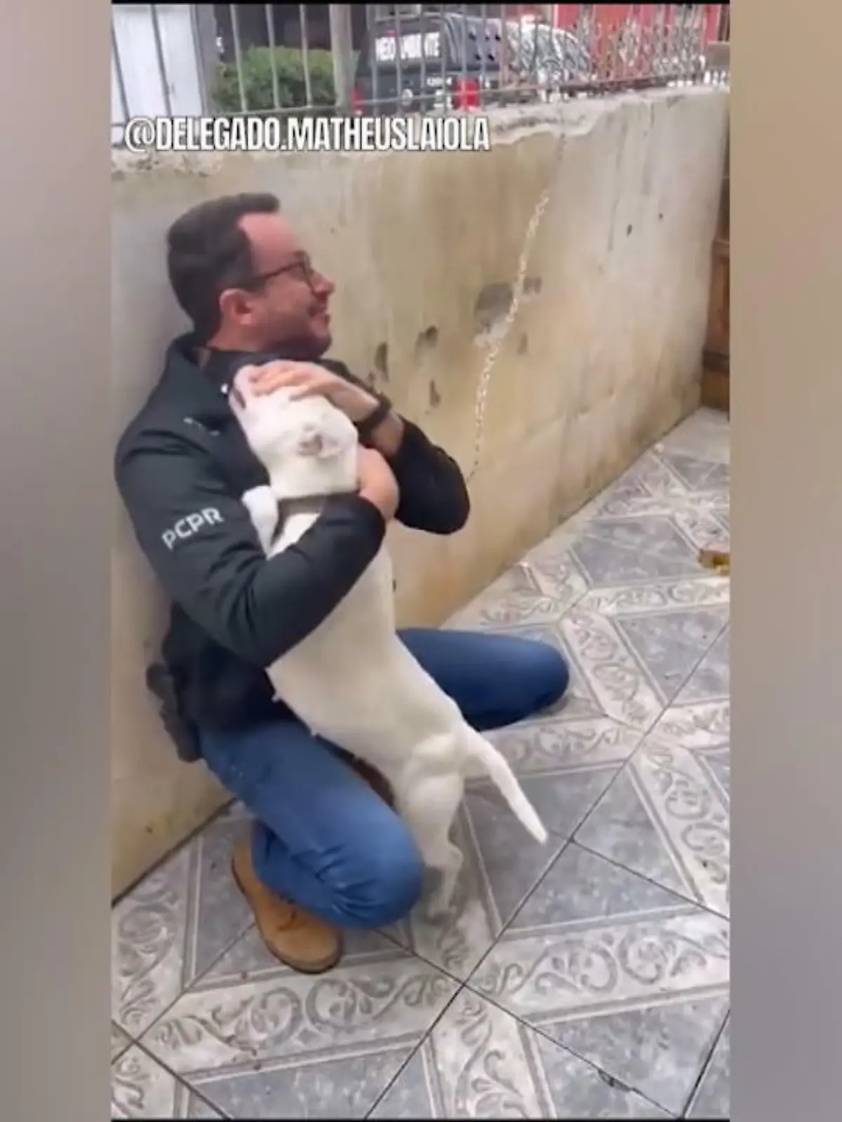 Bild zu: "Hund bedankt sich für seine Rettung"
