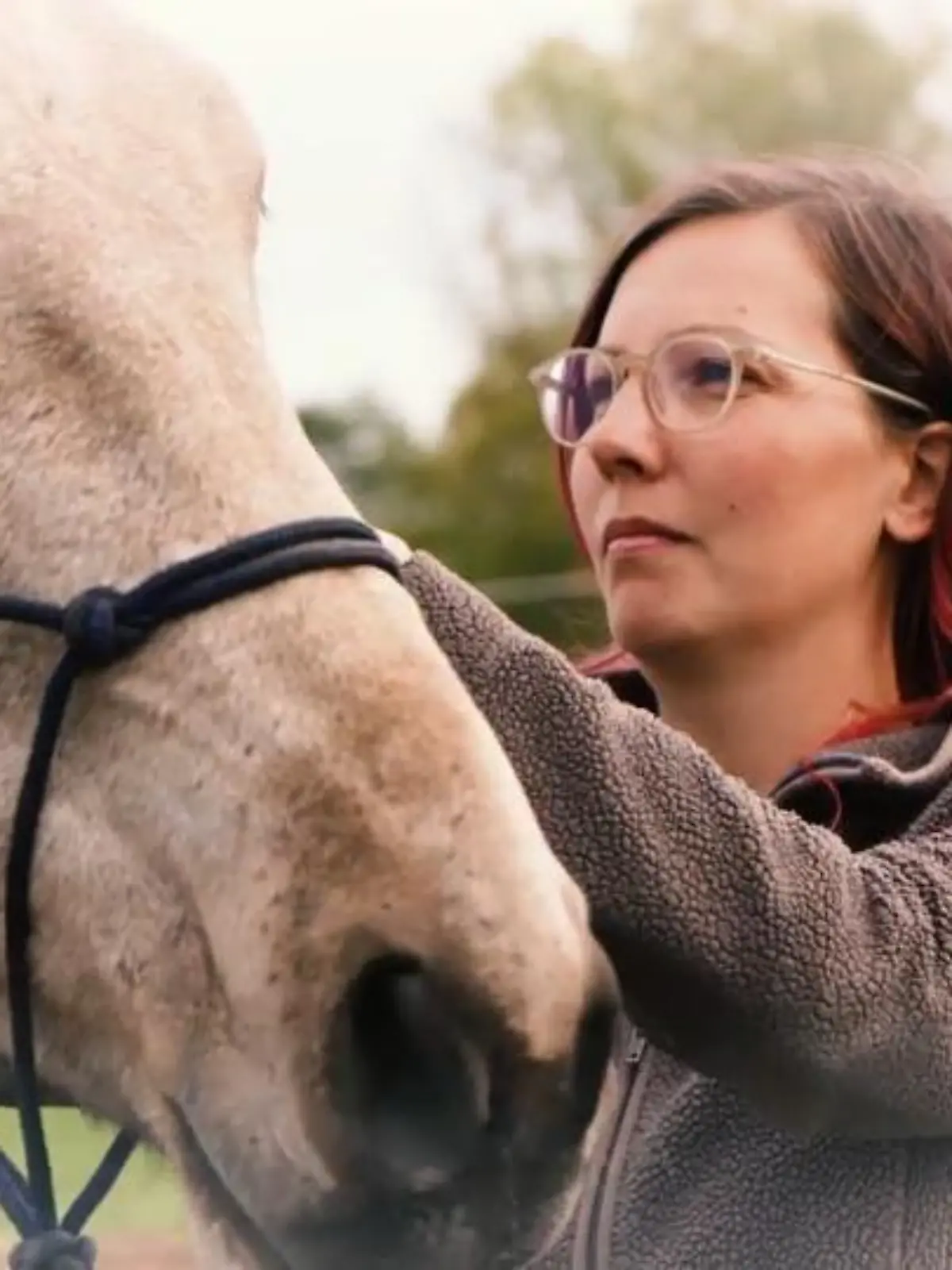 Julia Neumeister und Henry Sandkuhle haben einen harten Fall vor sich: Problempferd Fernando aus Spanien. Seine Besitzerin Carina ist überfordert, träumt aber davon, eines Tages endlich auf dem geretteten Tier reiten zu können. Wird ihr Traum in Erfüllung gehen?