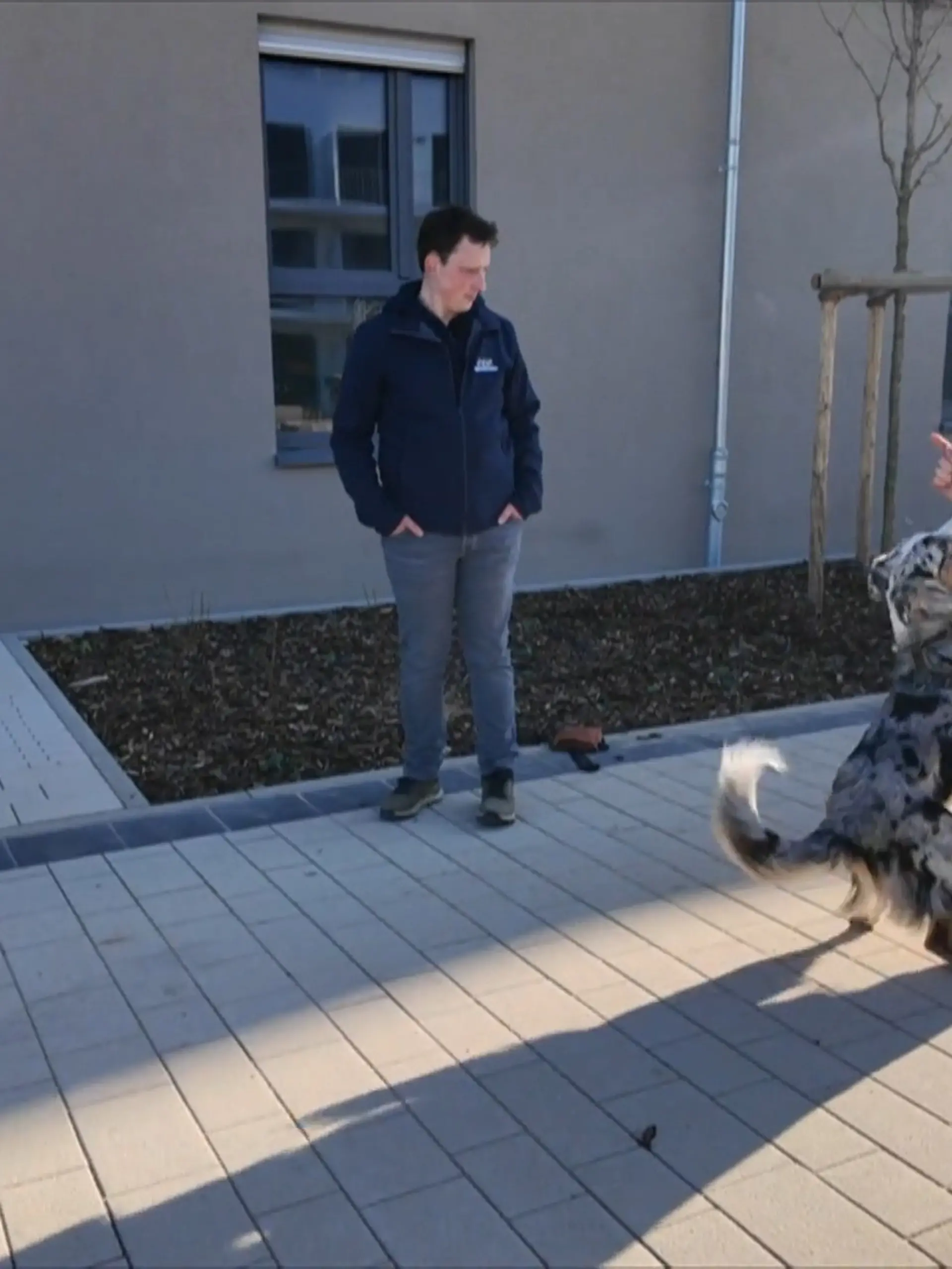 Bild zu: "Kann Hundetrainer Marcel die Hündin bremsern?"