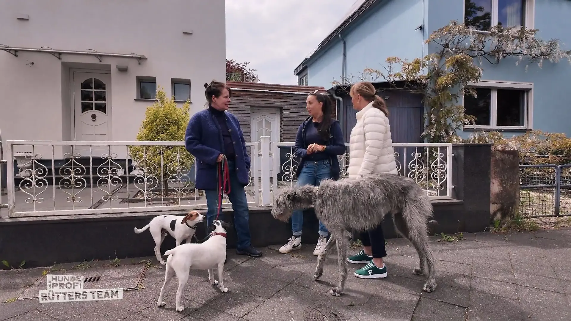 Schafft Ellen Marques die Wende bei George? Besitzerin ist genervt