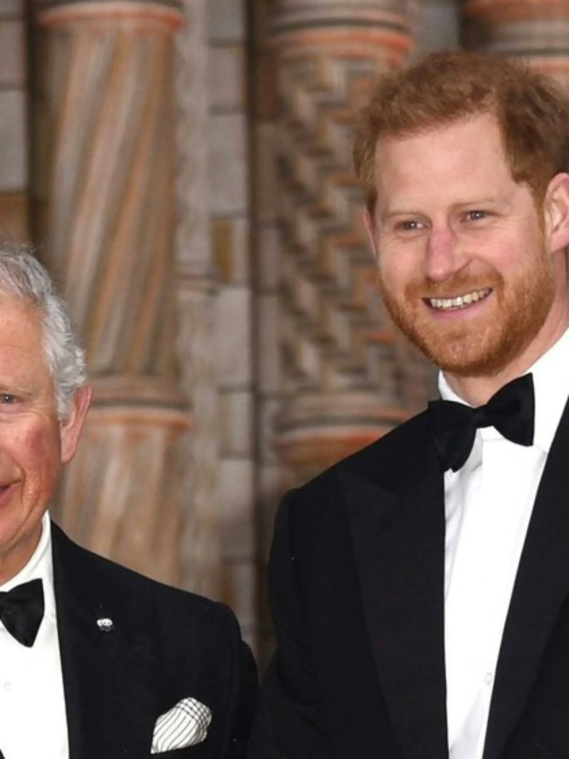 Lang ist es her: Prinz Harry und König Charles bei einem gemeinsamen Auftritt im Jahr 2019.