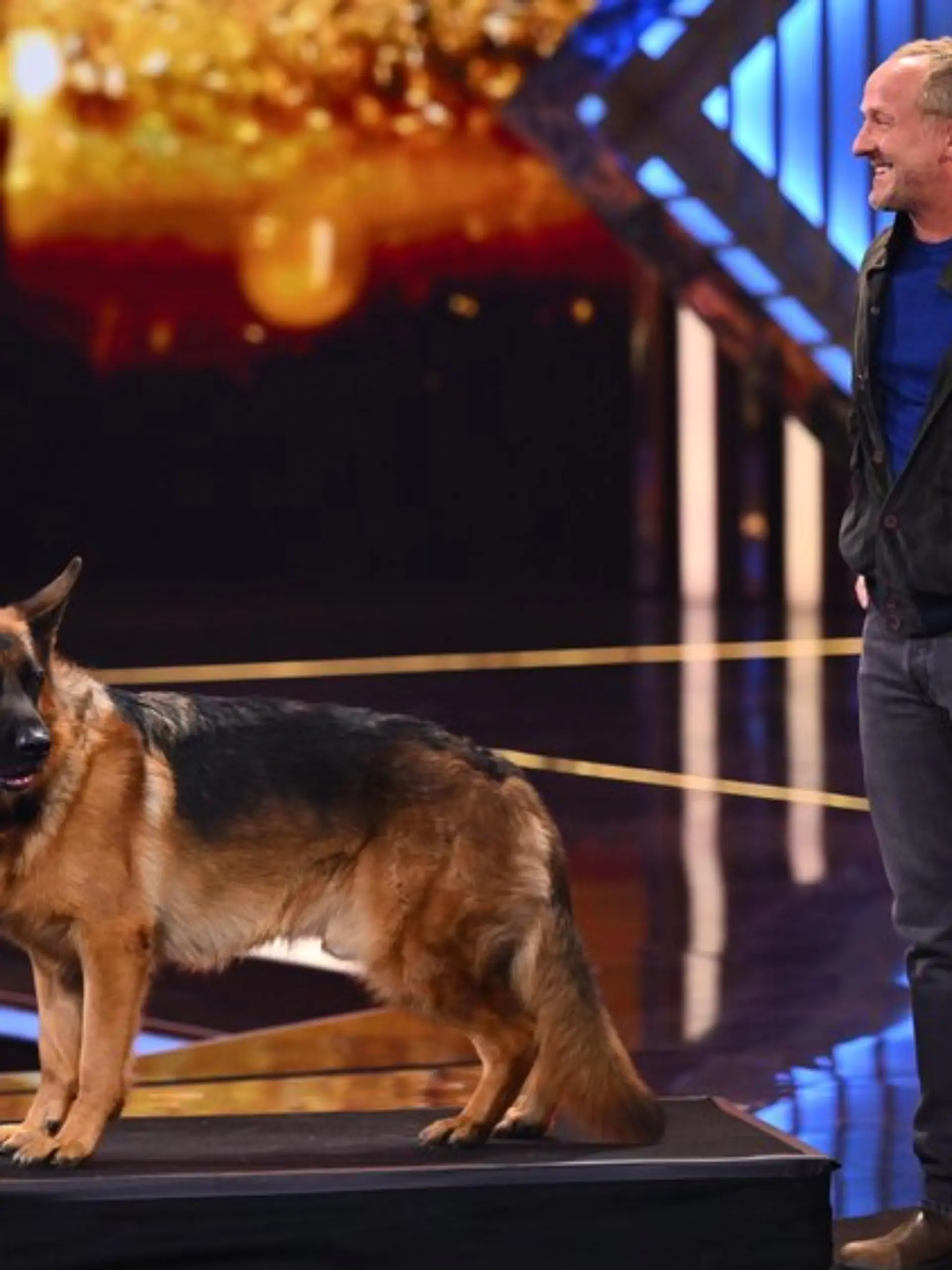 Maximilian Brückner mit "Kommissar Rex" auf der Fernsehpreis-Bühne.
