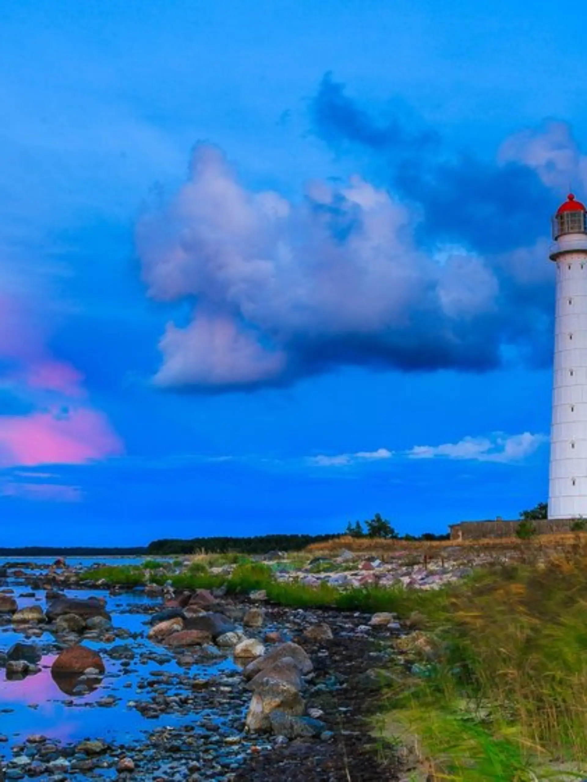 Eine Aktion auf der Insel Hiiumaa hat eine ungewöhnliche Tradition inspiriert.
