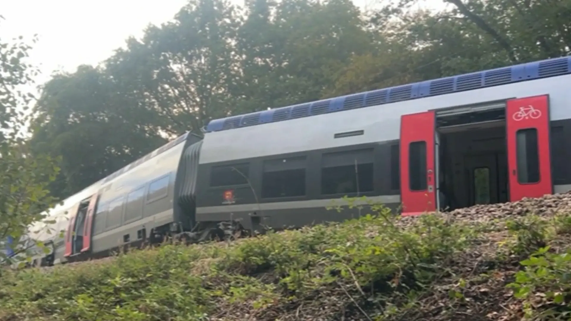 Sabotage-Verdacht! Regionalzug entgleist – viele Verletzte Waggon kippt nach Kollision