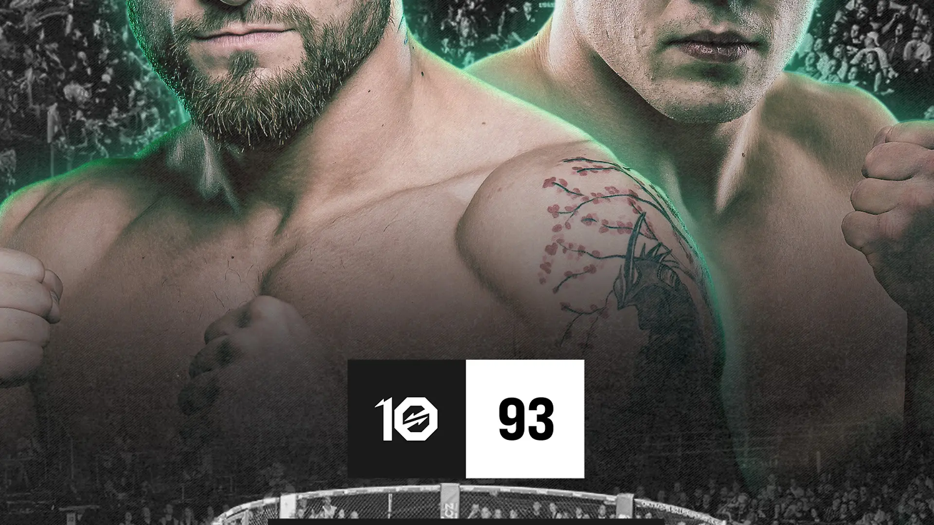 Daniel Ligocki vs. Brajan Przysiwek