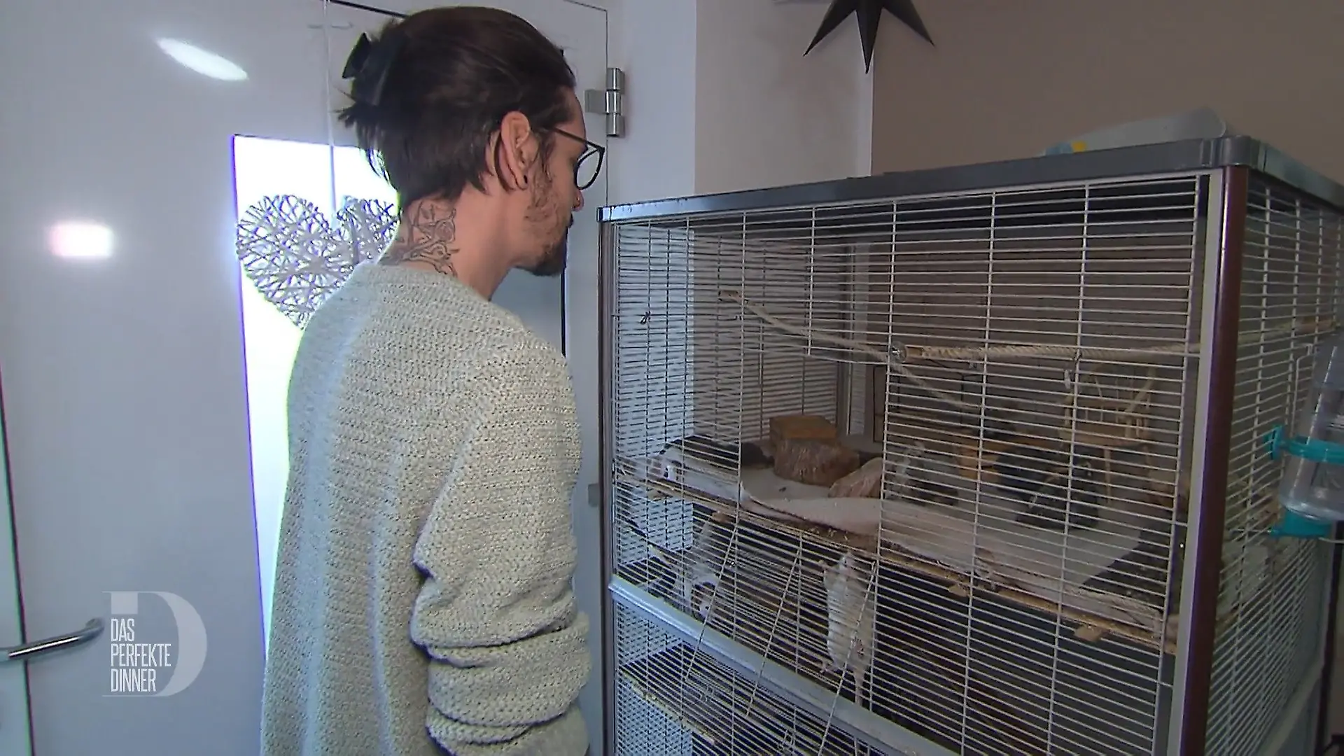 Basti lebt mit 8 Ratten zusammen Tierische Mitbewohner